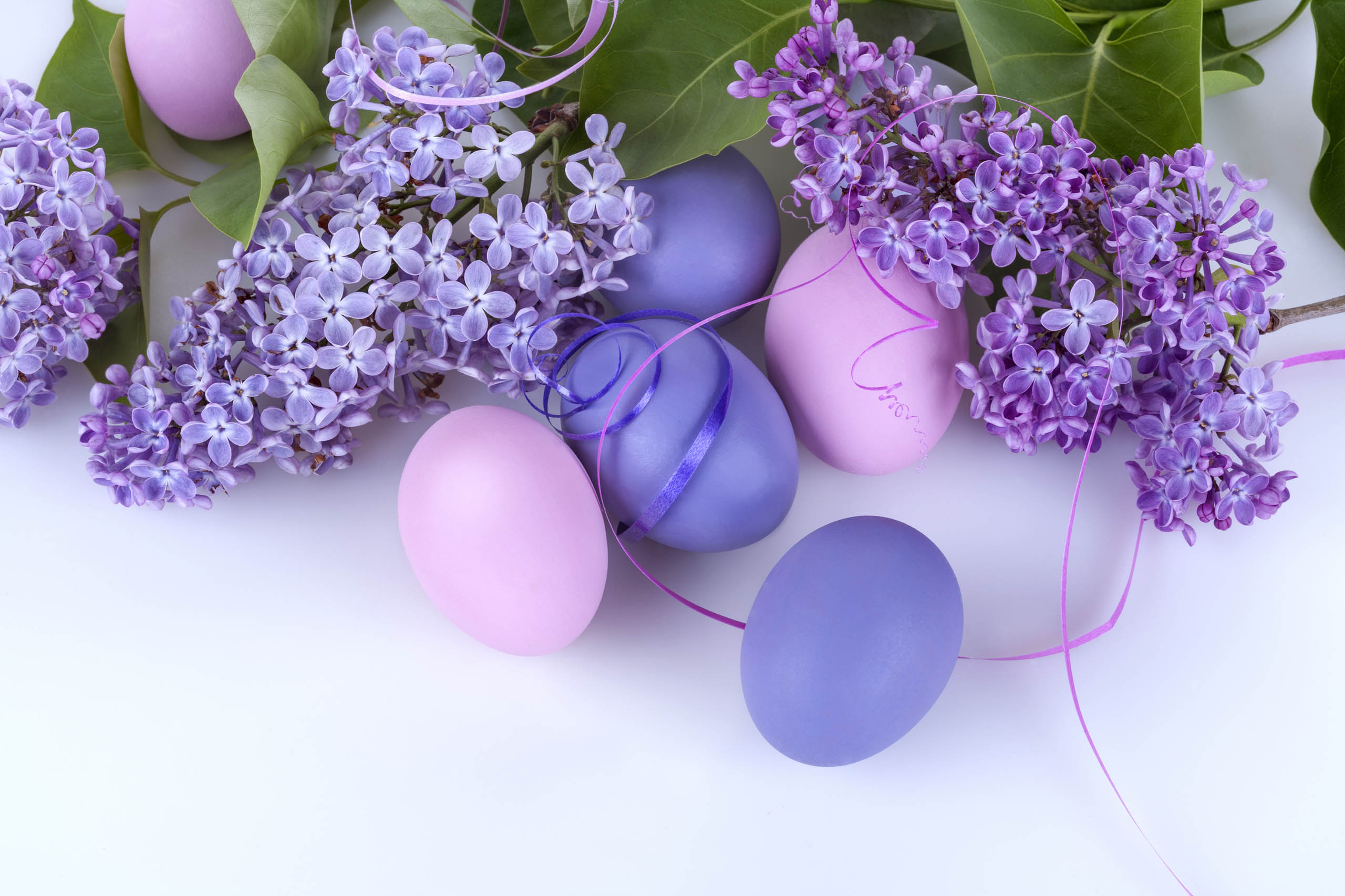 Wallpapers lilacs colorful eggs easter eggs on the desktop