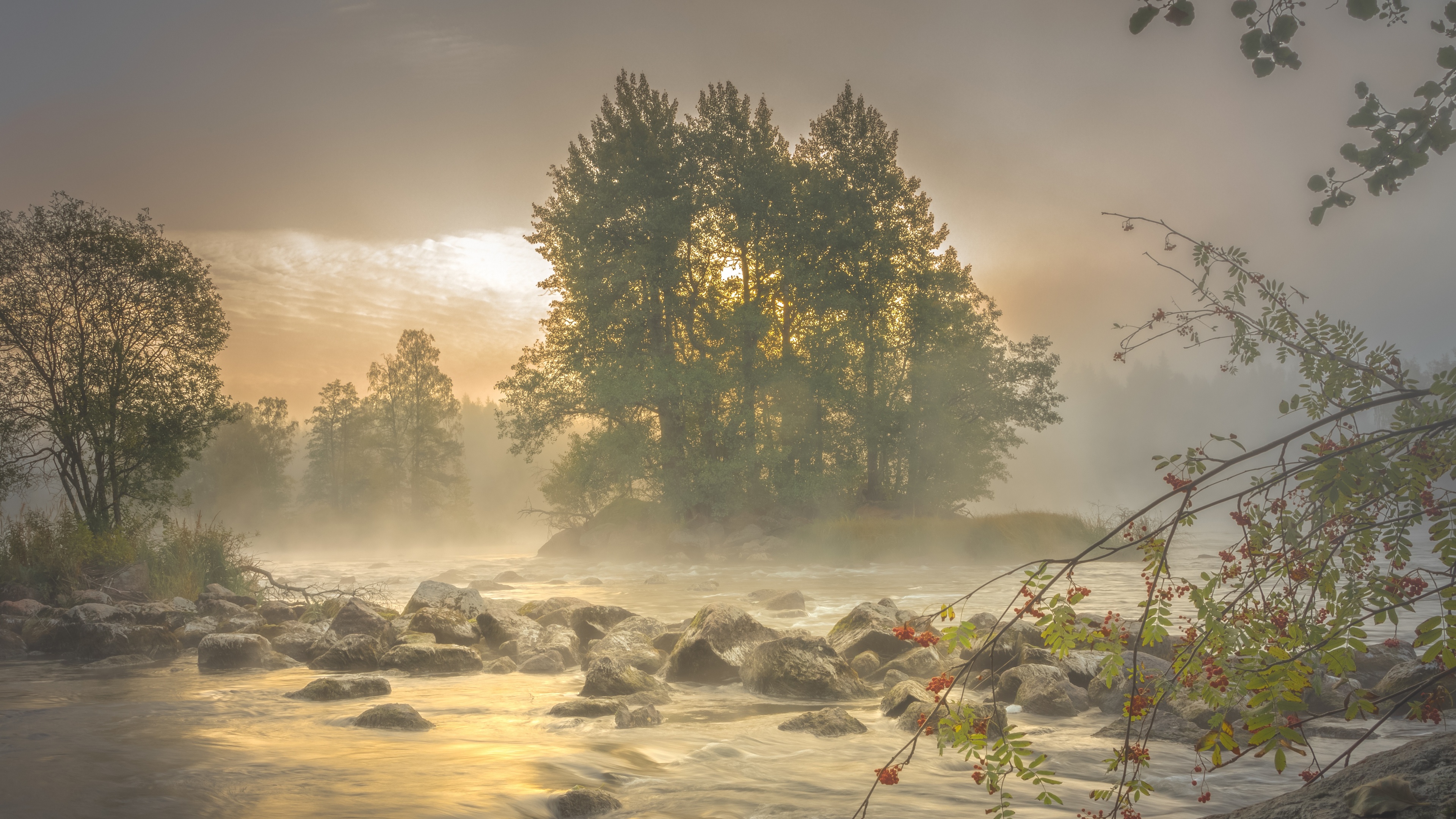 Free photo Beautiful nature on the islands of Finland