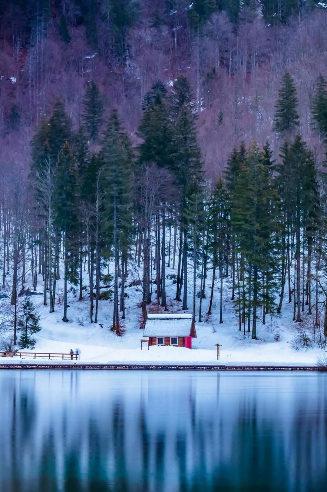 Бесплатное фото Домик у зимнего озера