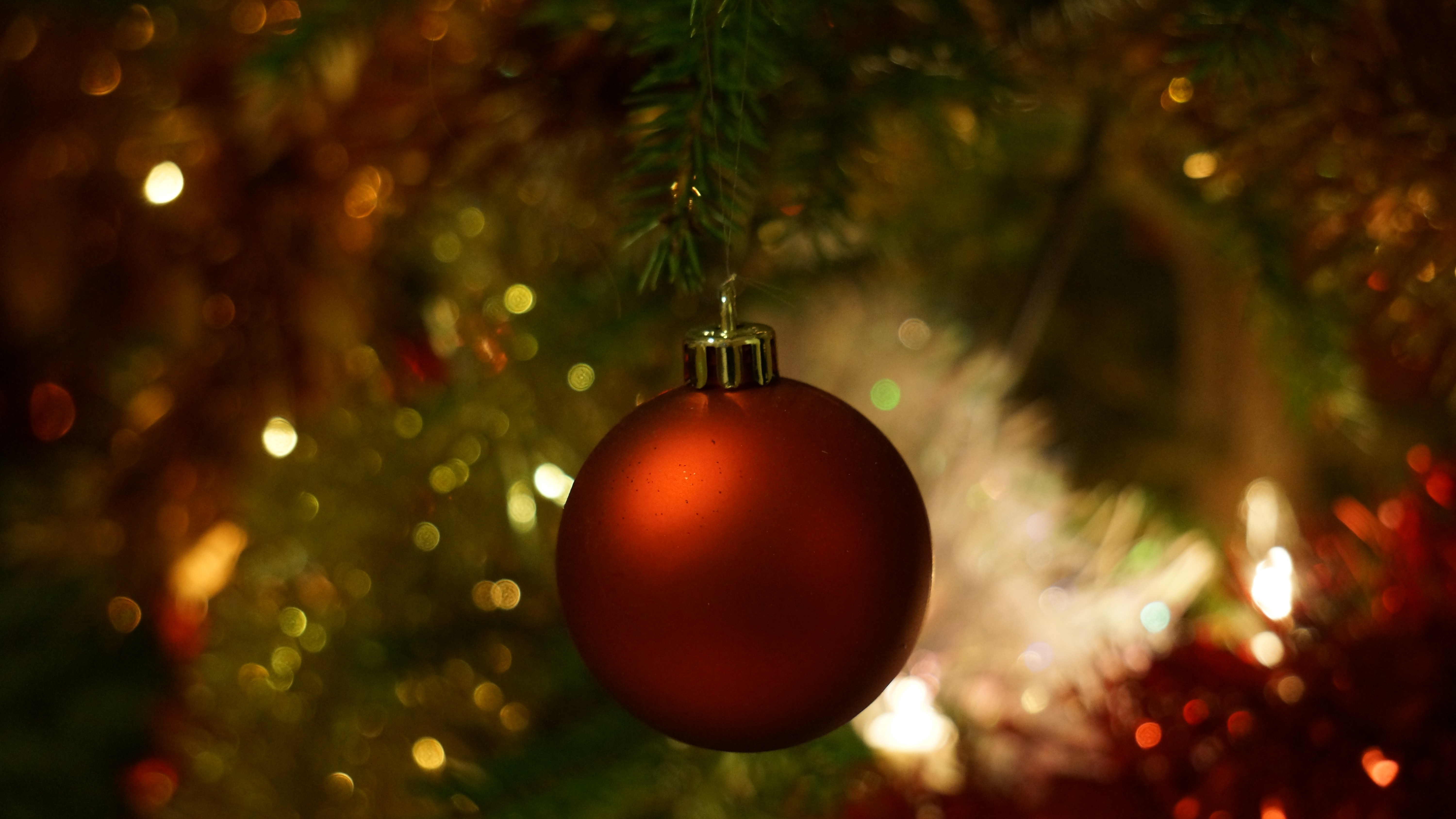 Free photo A red Christmas toy hangs on the branch of the Christmas tree