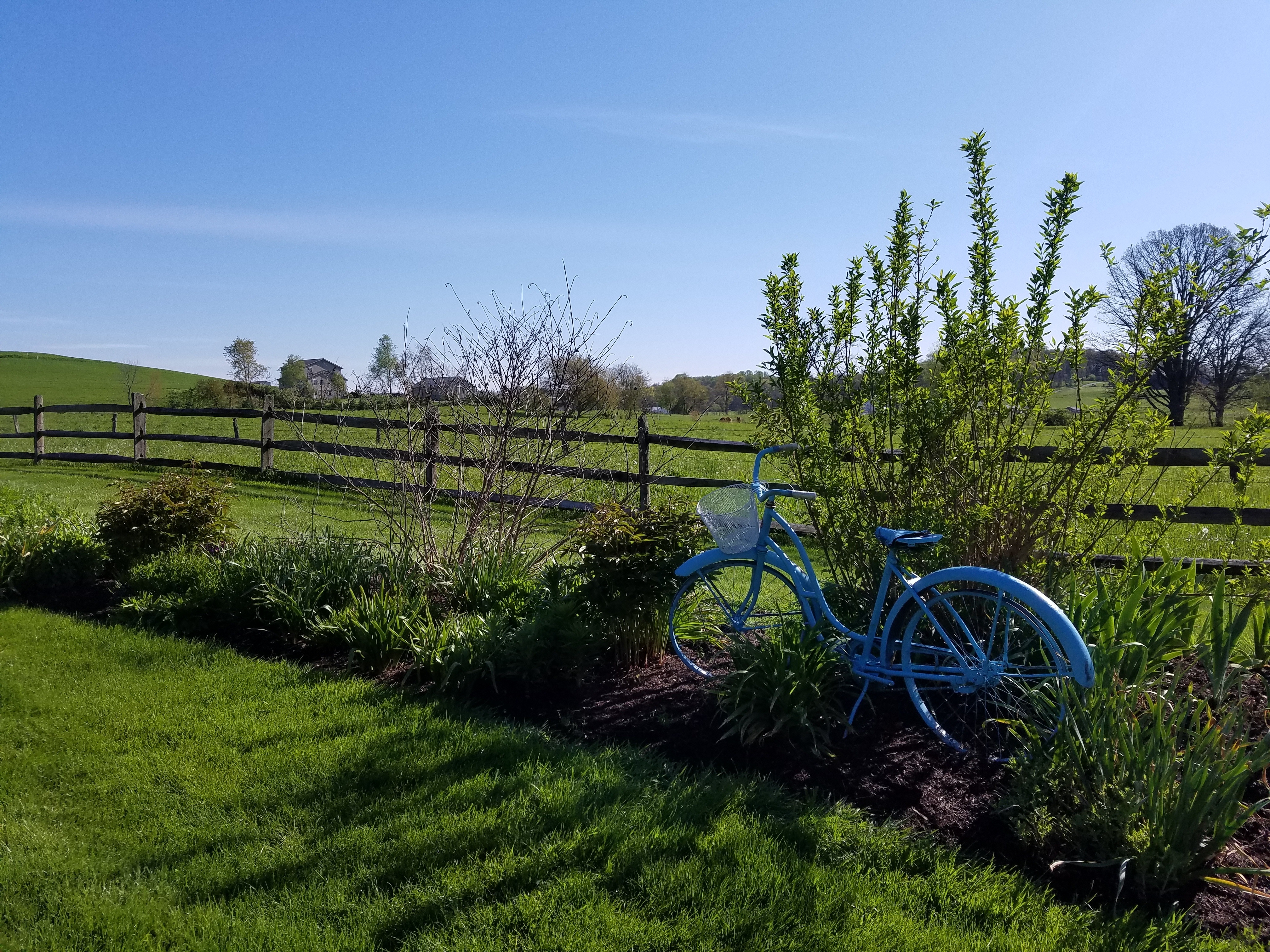 Wallpapers wallpaper fence fence bicycle on the desktop