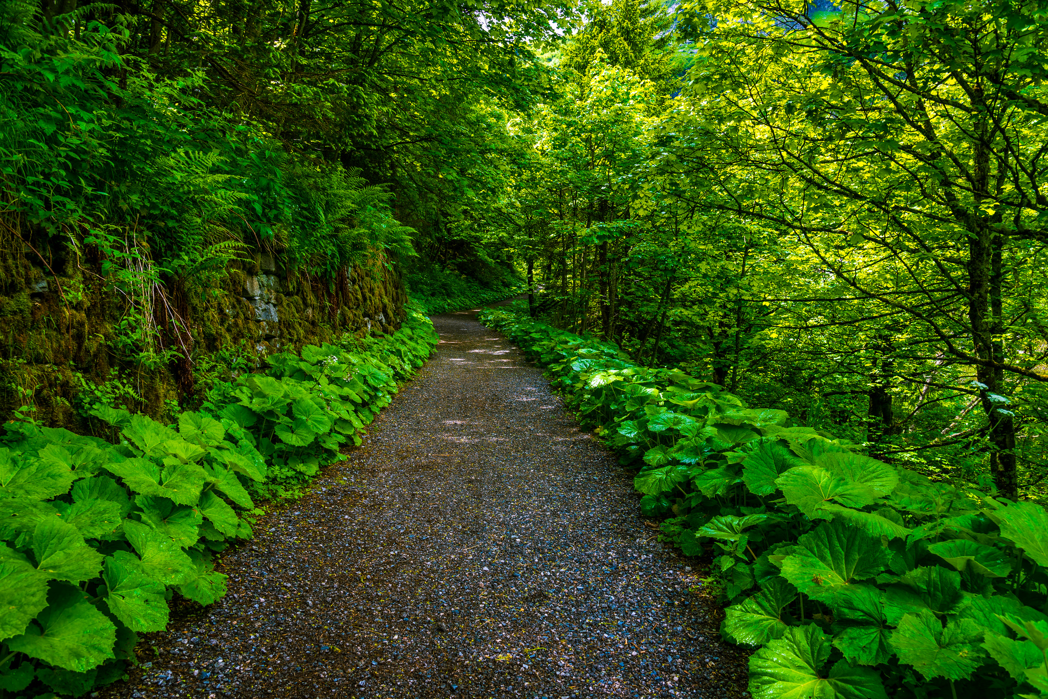 Wallpapers Austria Bad Gastein landscape Bad Gastein on the desktop