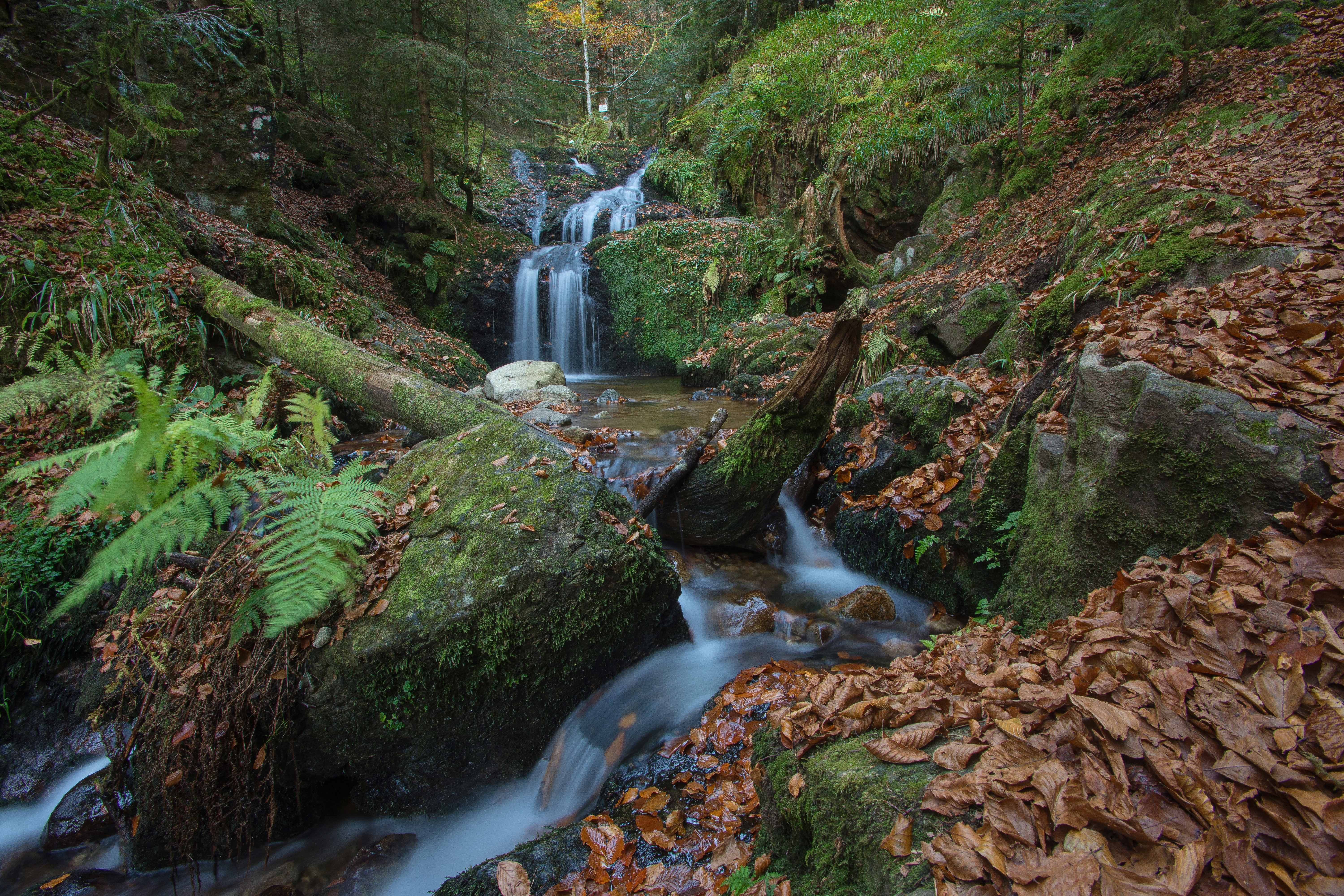 Wallpapers Cascade Charlemagne Vosges France on the desktop