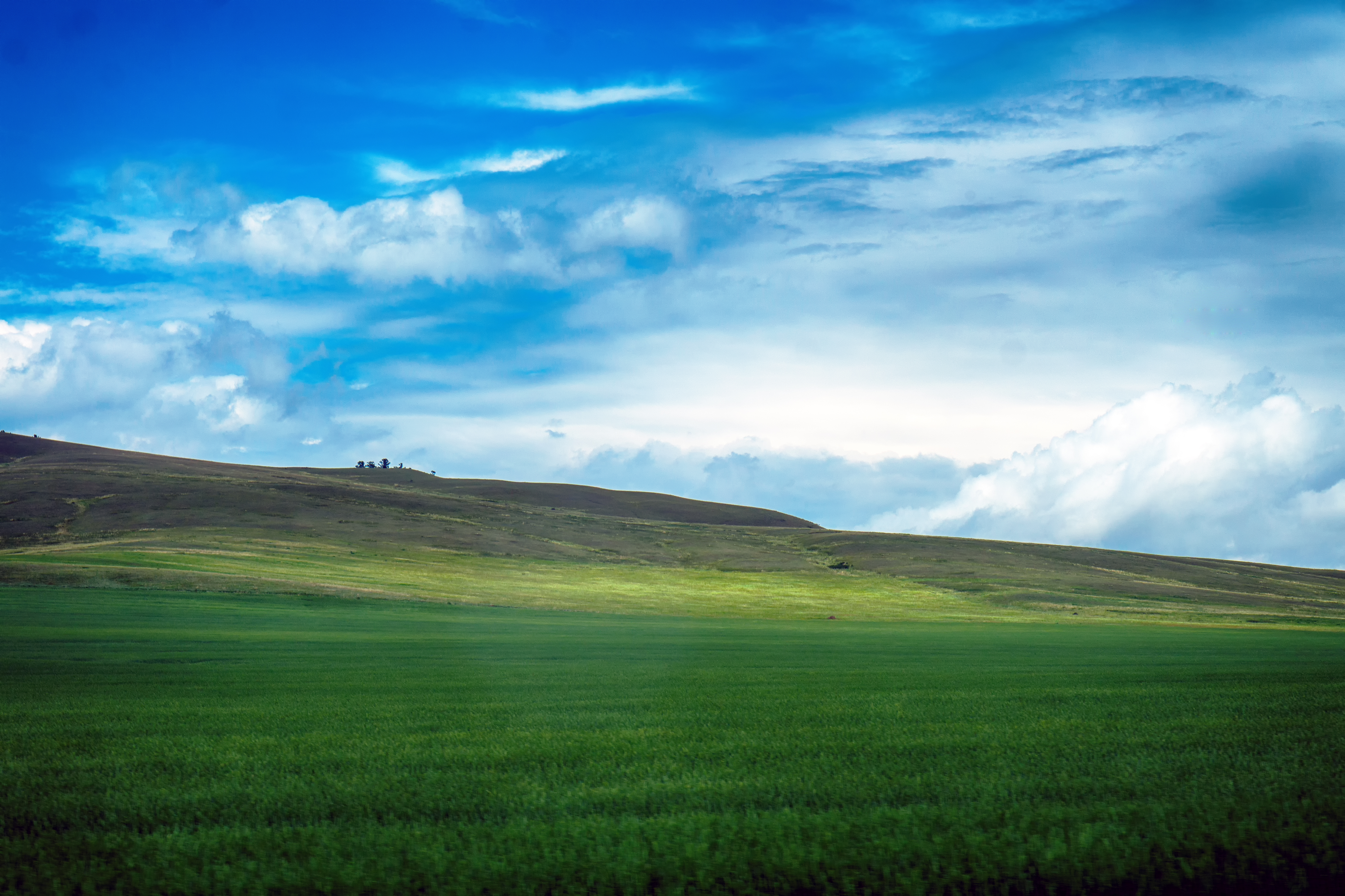 Free photo Khakassia in summer