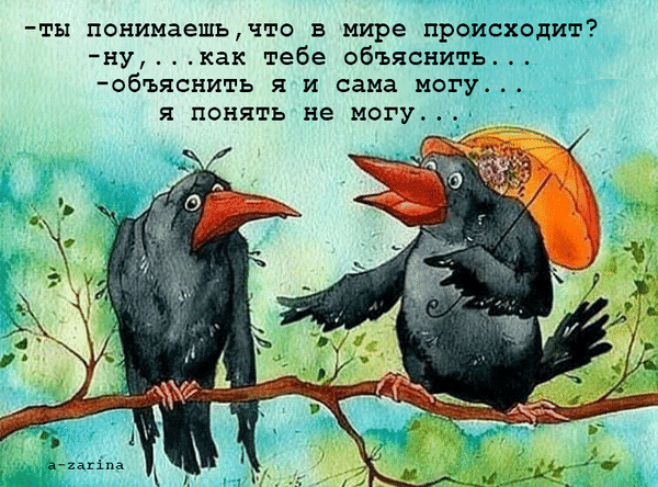 主题为乌 报价 动画的明信片免费下载