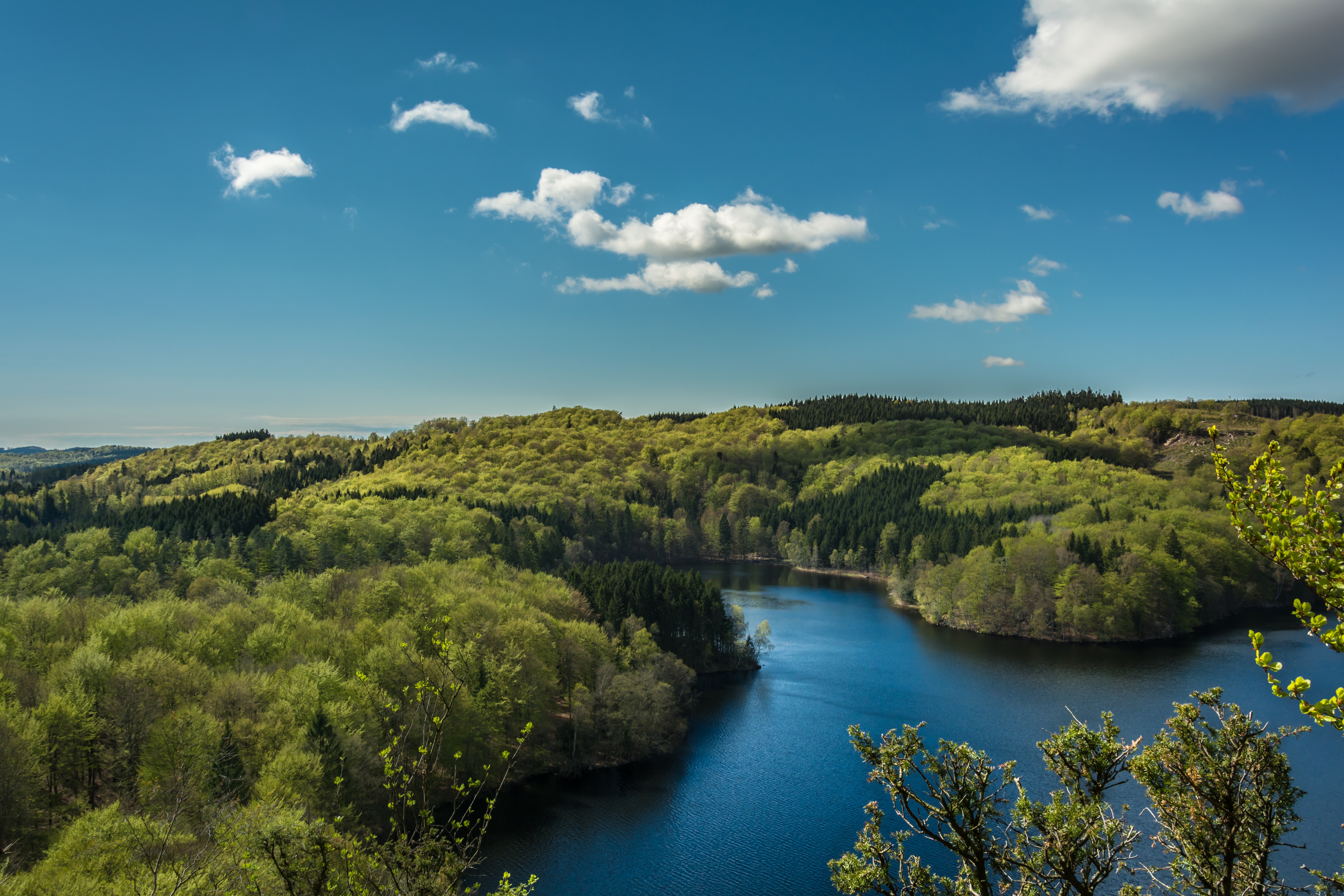 Free photo A jungle river with a colorful forest