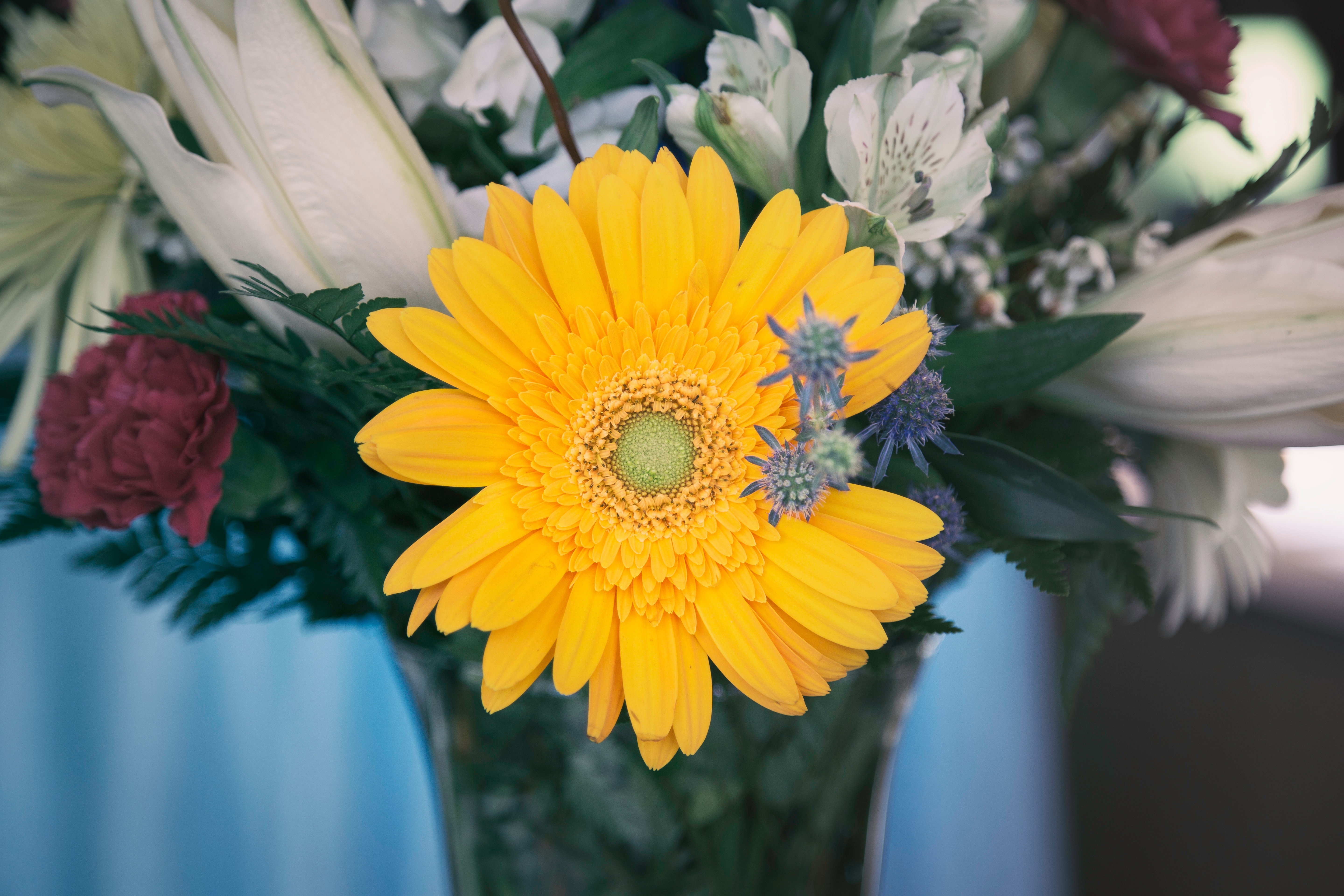 Free photo Bouquet of wildflowers