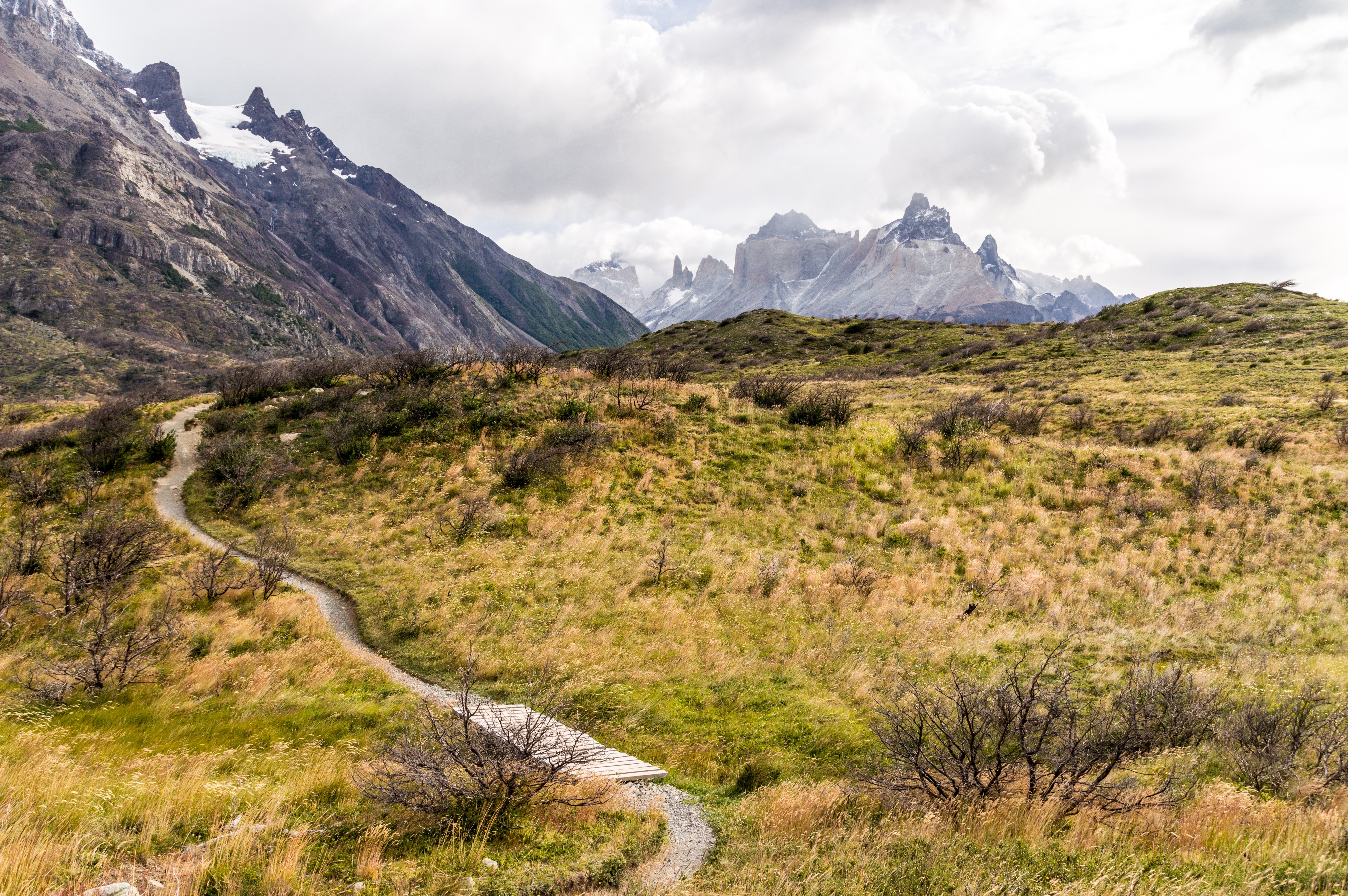 Wallpapers landscape path wilderness on the desktop