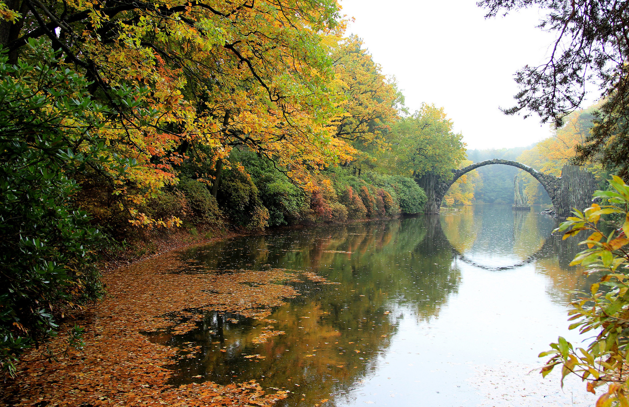 Wallpapers Rhododendronpark Kromlau river autumn on the desktop