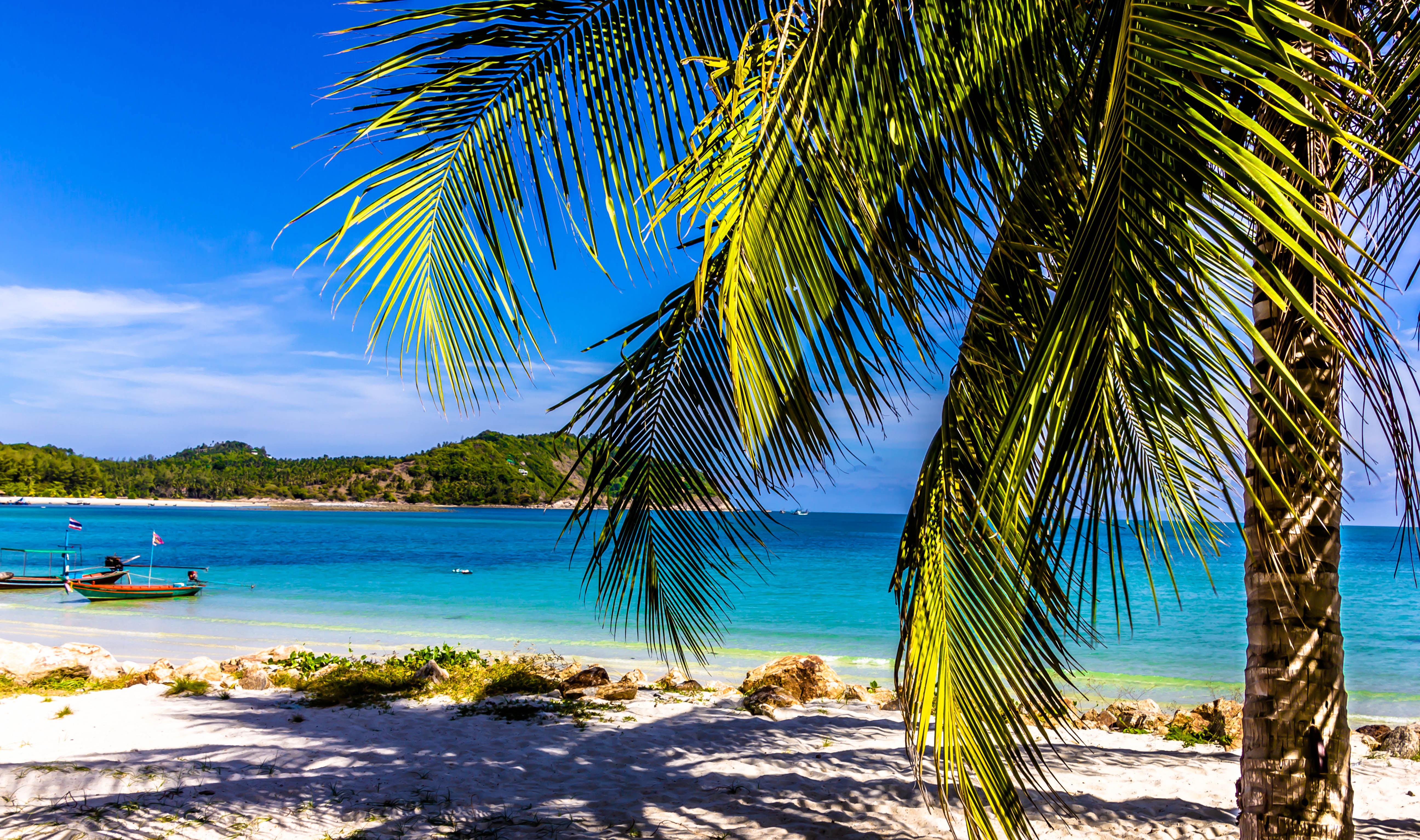 Free photo The sea shore with palm trees in Thailand