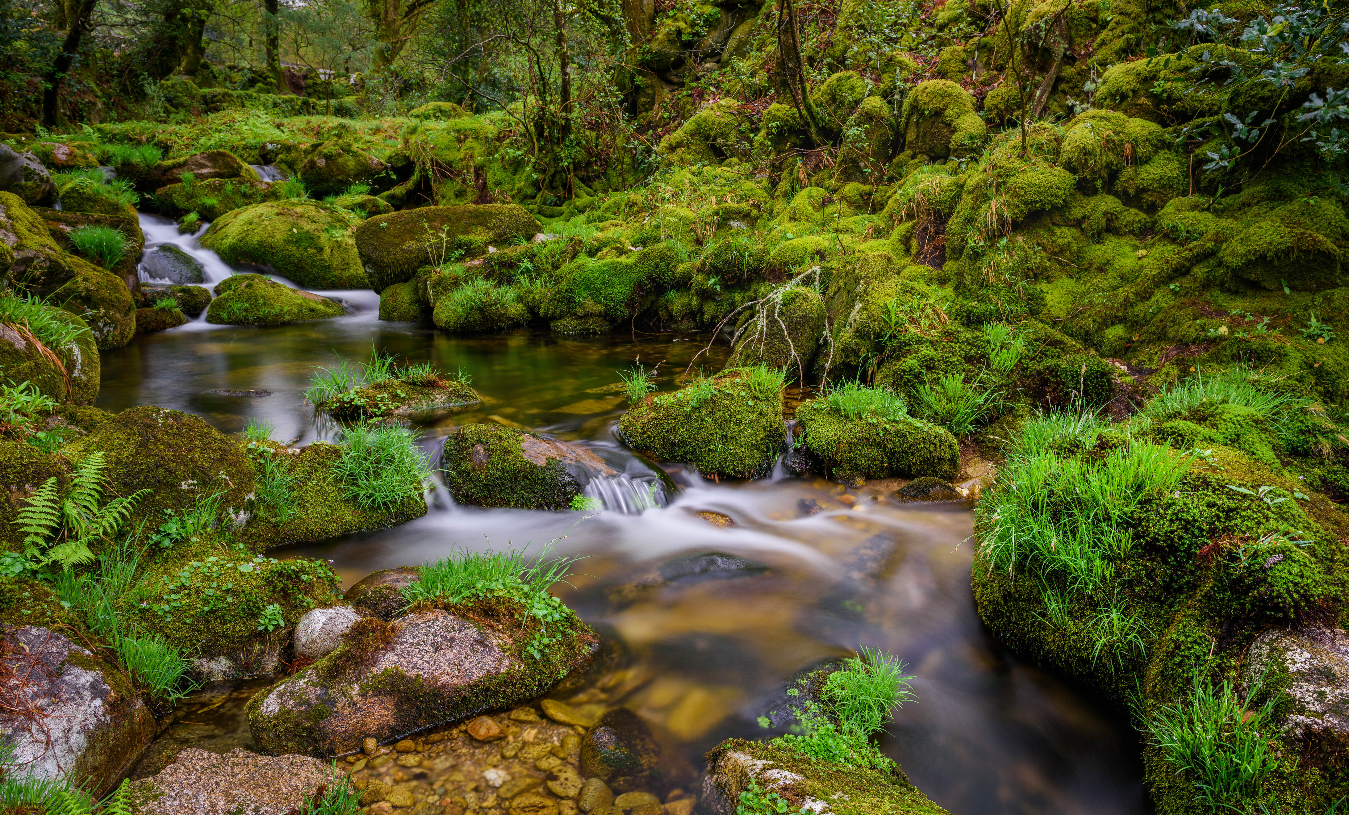 Wallpapers nature Spain brook on the desktop