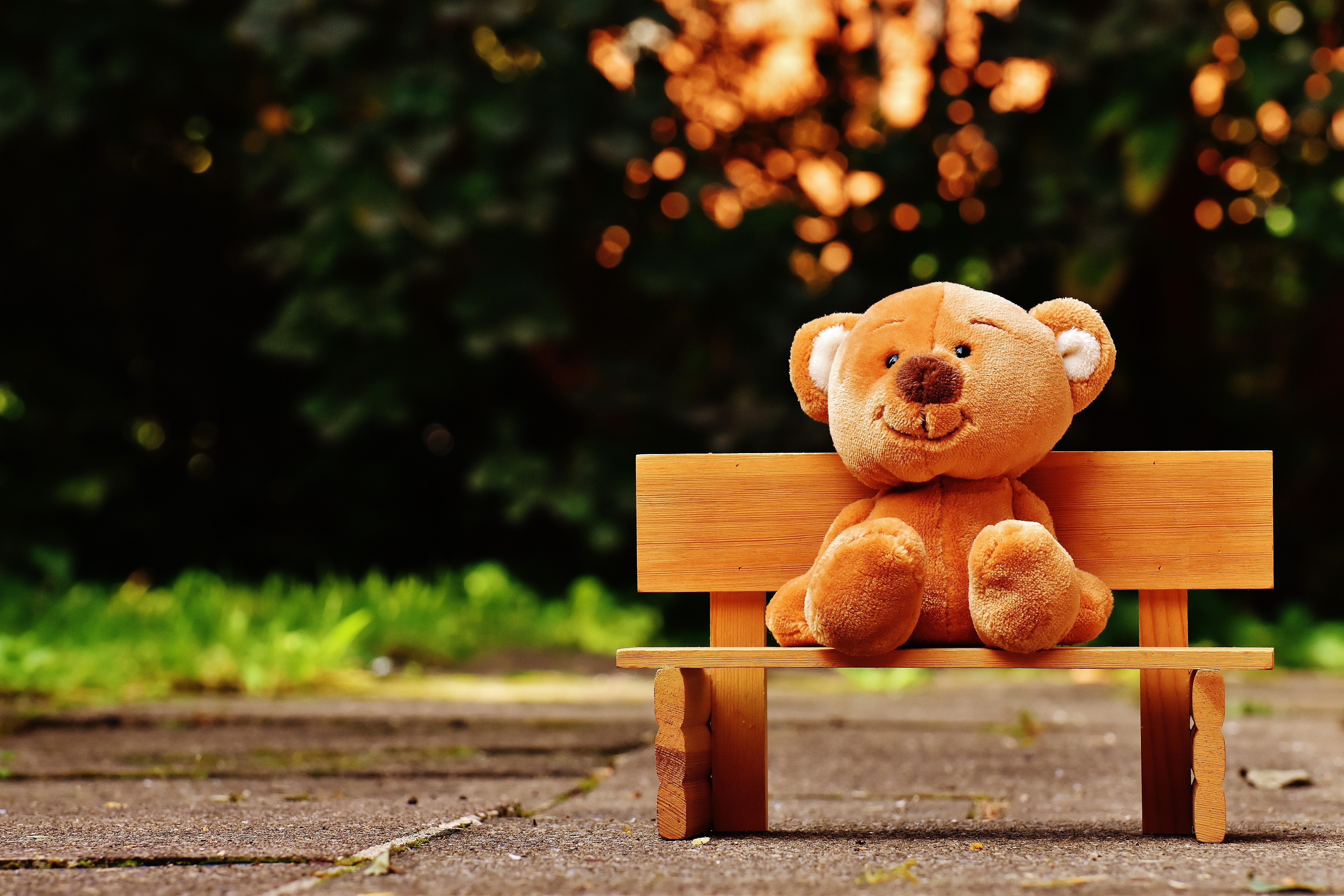 一只泰迪熊坐在长椅上。