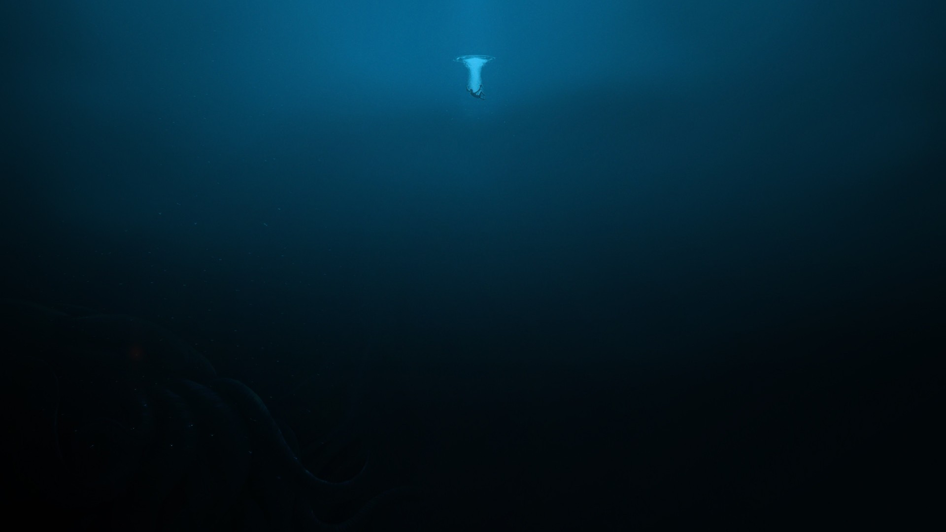 桌面上的壁纸日光 海 水下