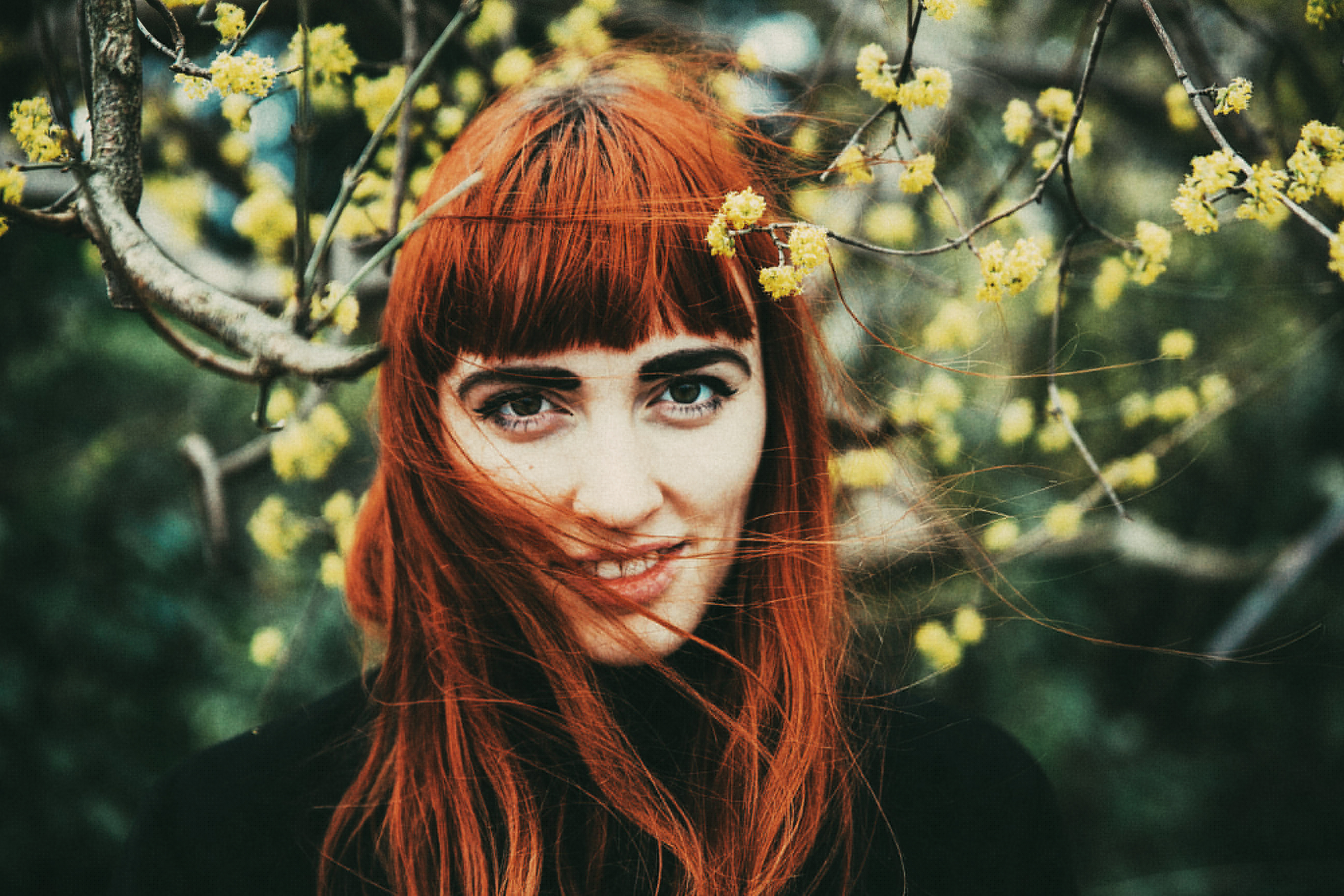 桌面上的壁纸木材 鲜花 红色