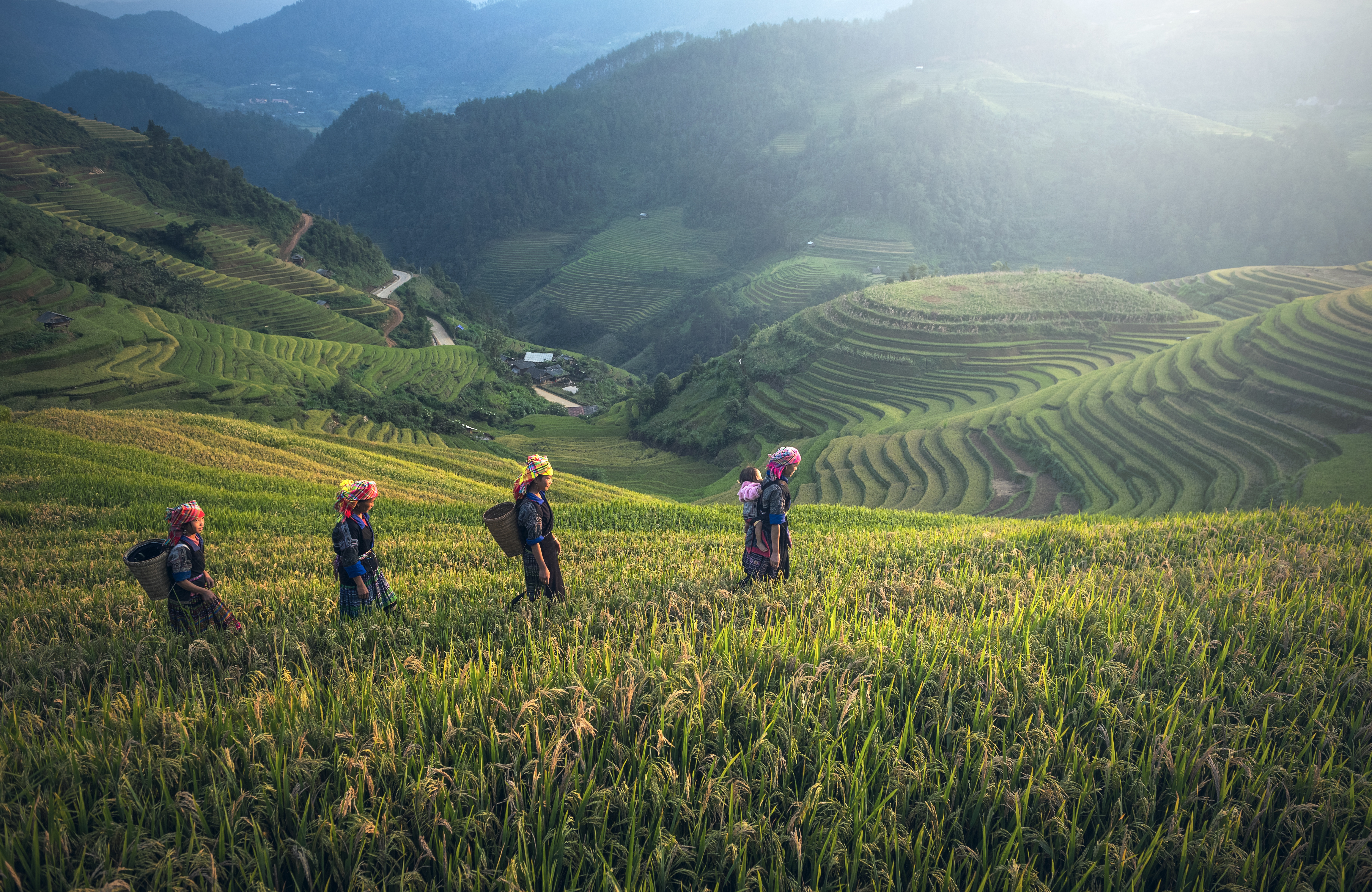 Wallpapers countryside landscapes Cambodia on the desktop