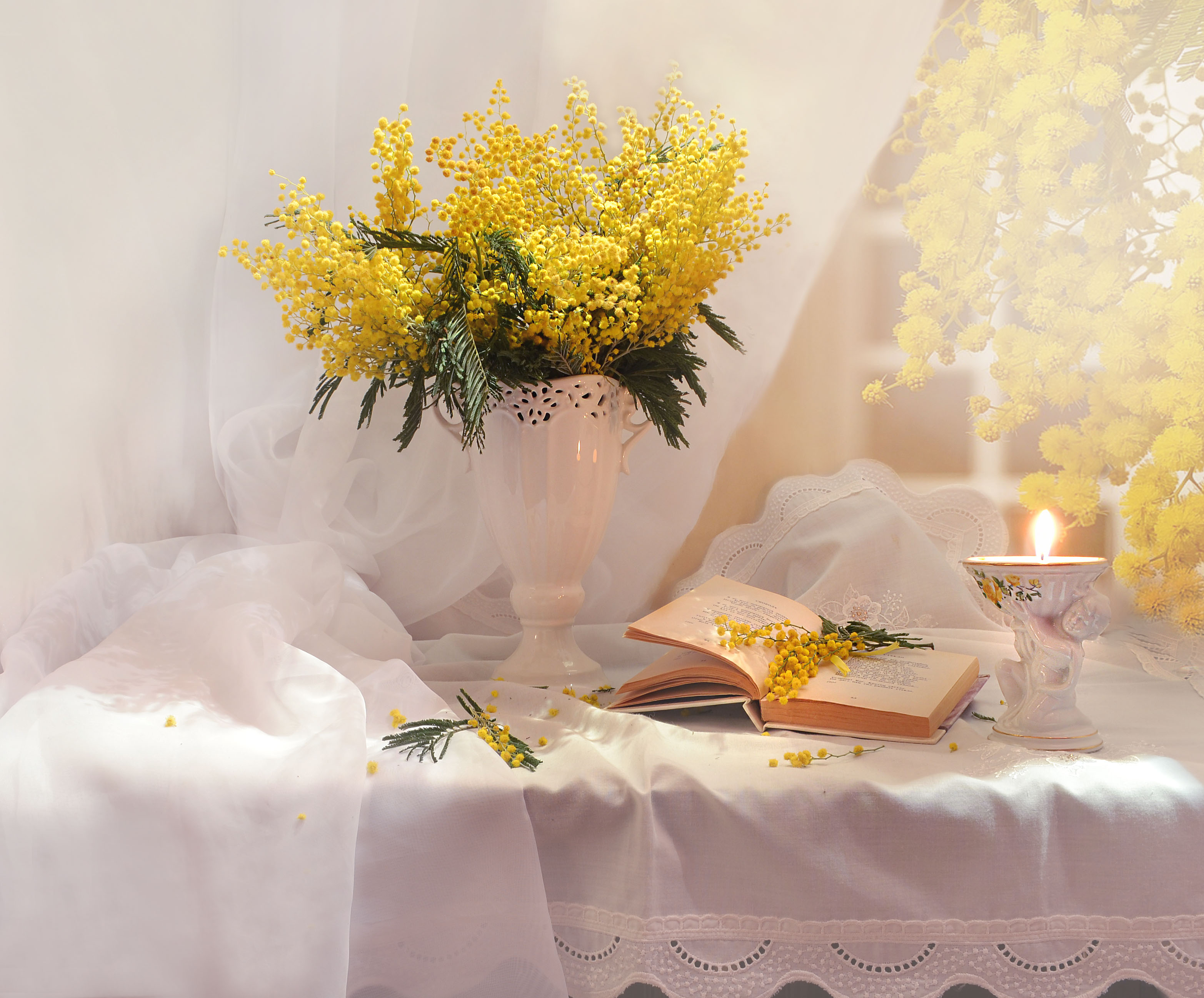 桌面上的壁纸背景 鲜花 绘画