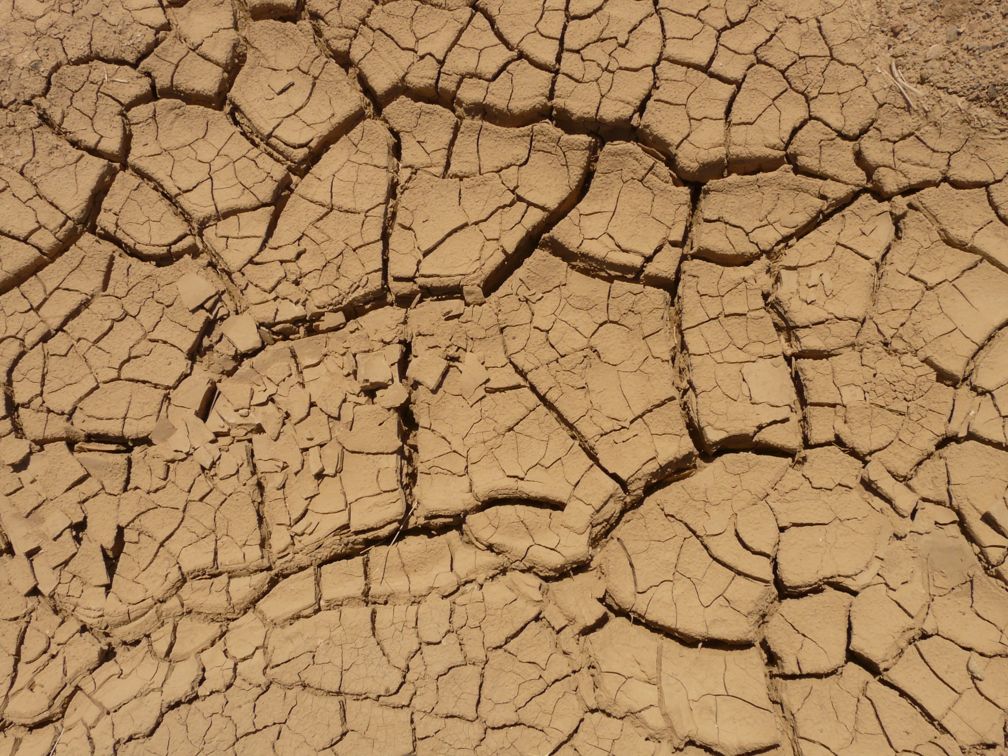 Wallpapers earth dry soil on the desktop