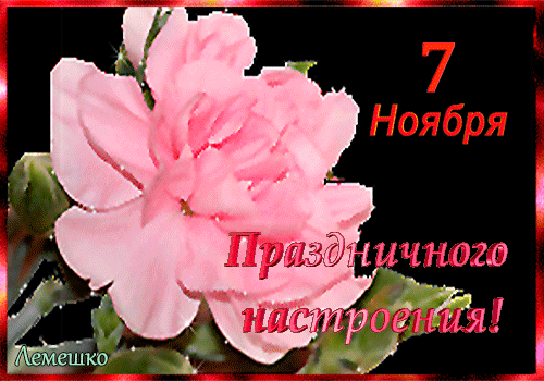Postcard on the theme 3d text carnation flower download for free
