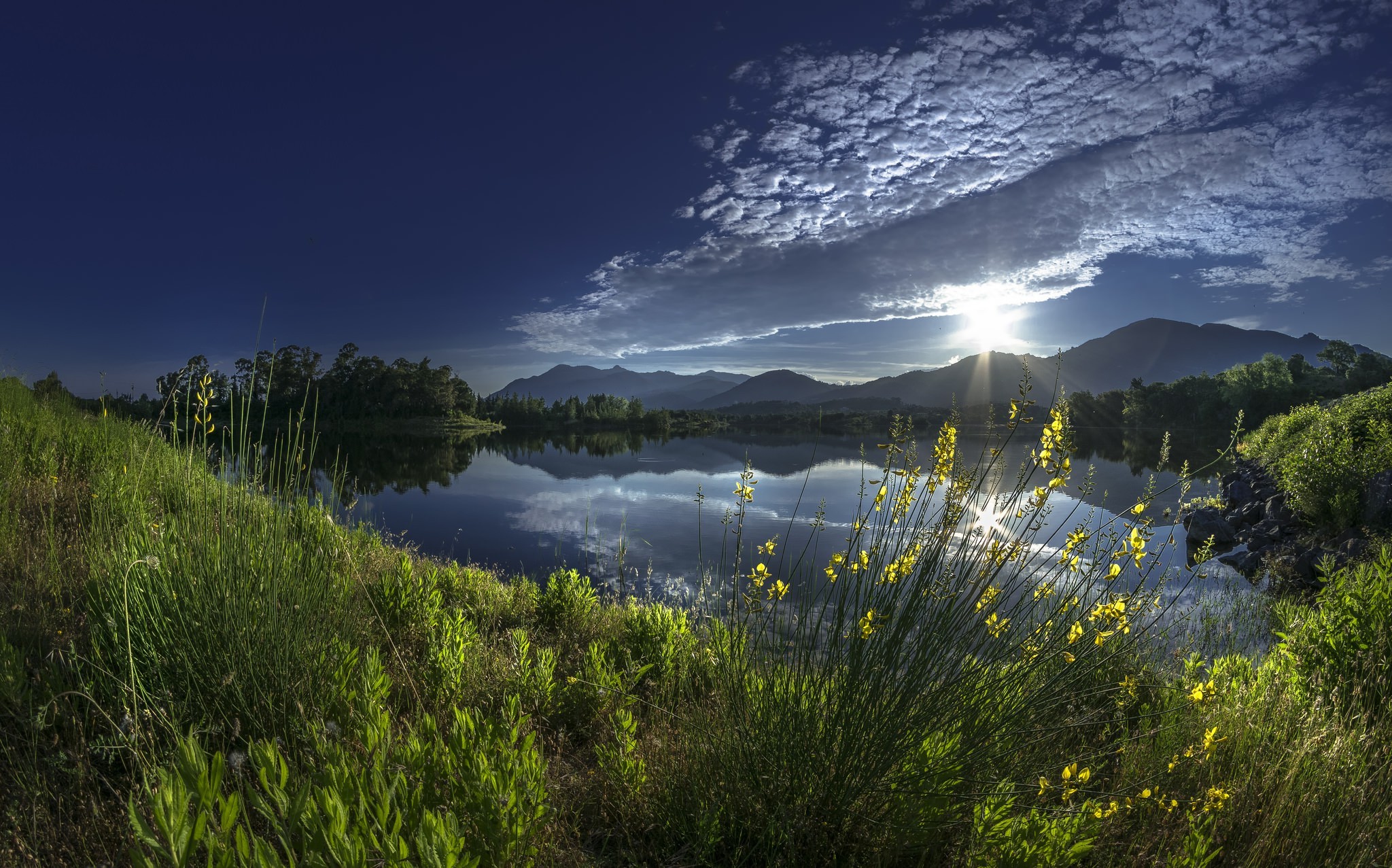 Free photo Sunlight on the lake