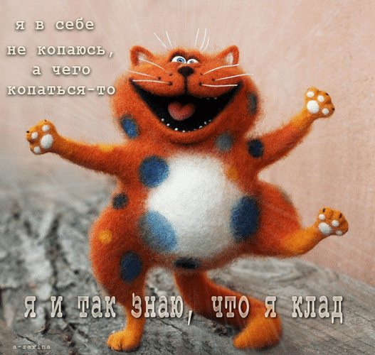 主题为猫 姜 积极的的明信片免费下载