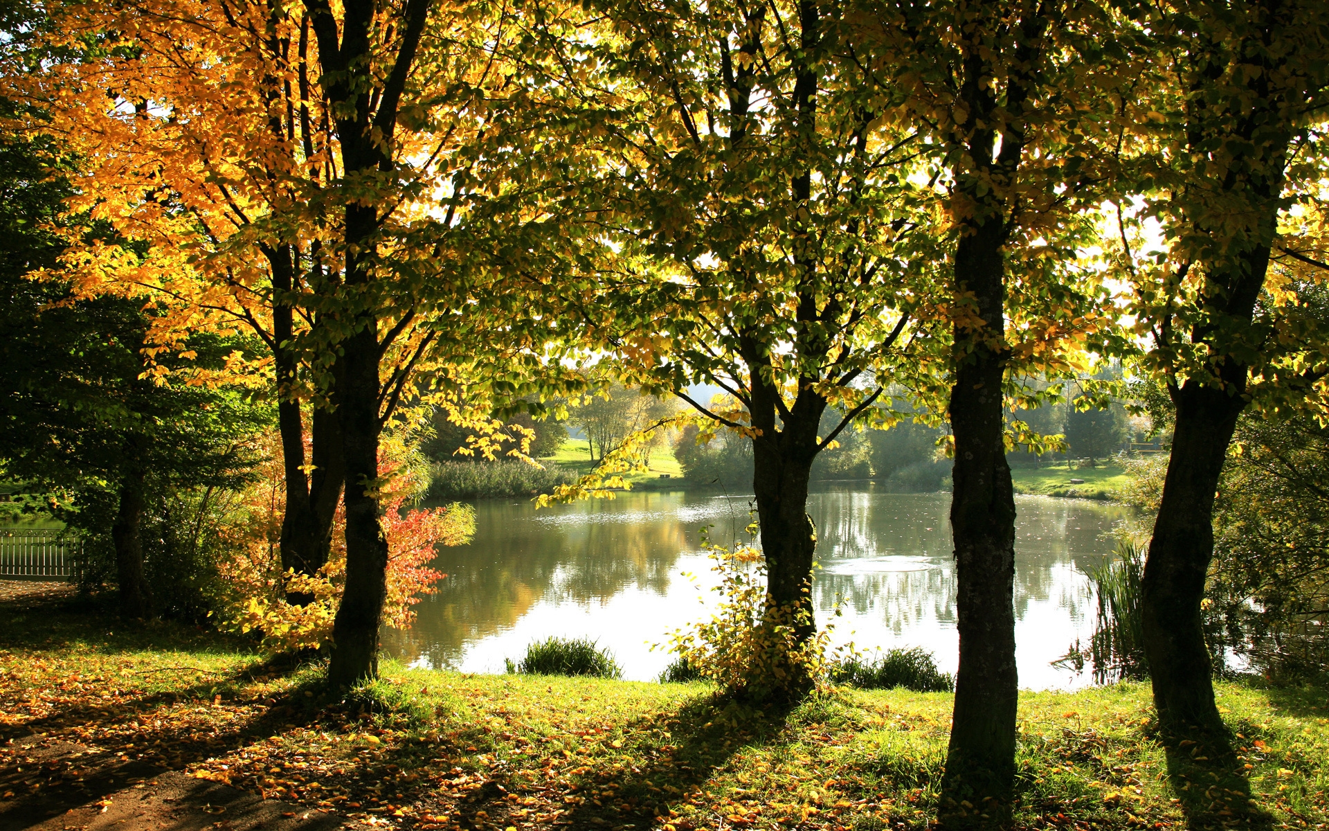 Free photo Coastline overlooking the lake