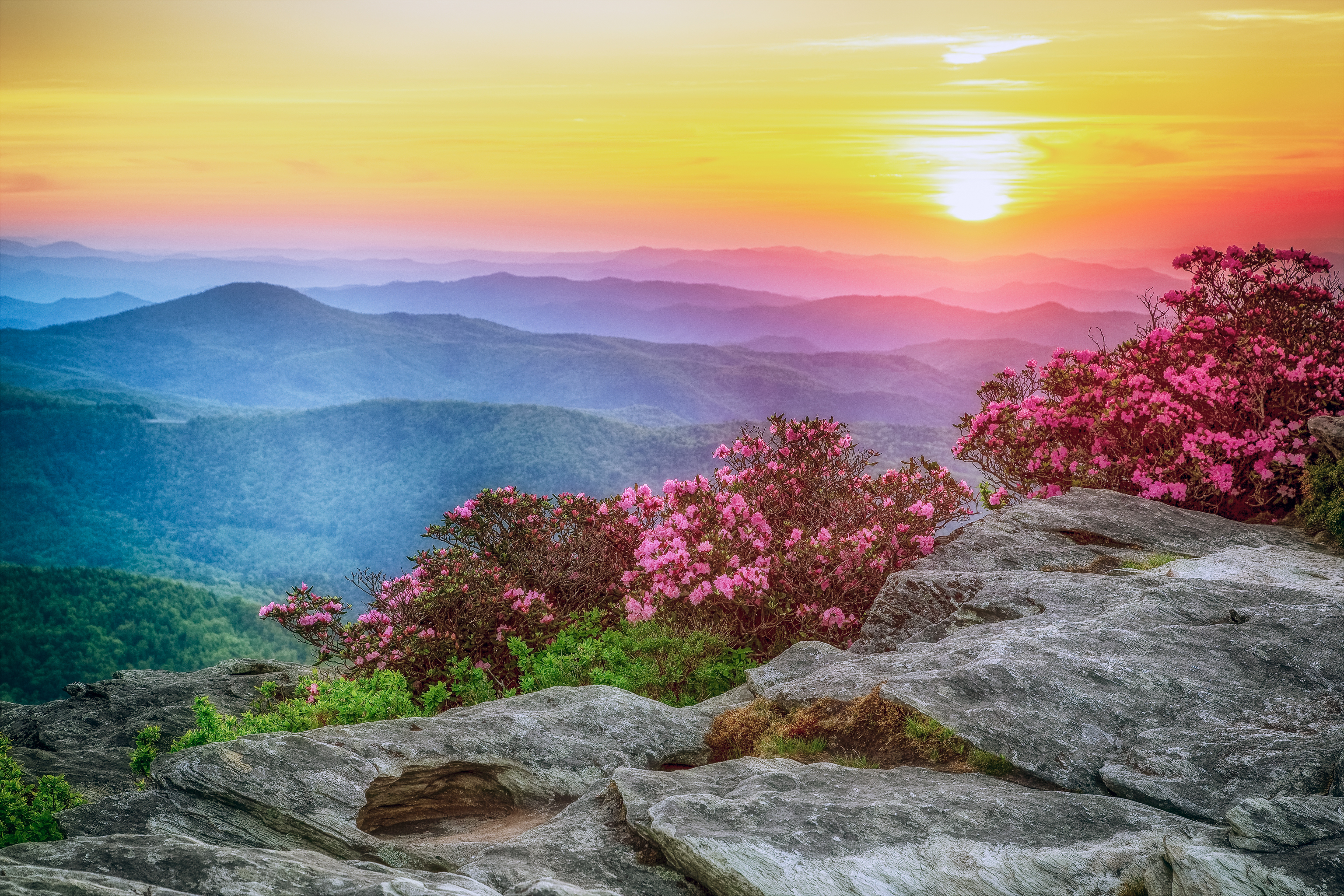 Wallpapers United States of America Hawksbill mountain Morganton on the desktop