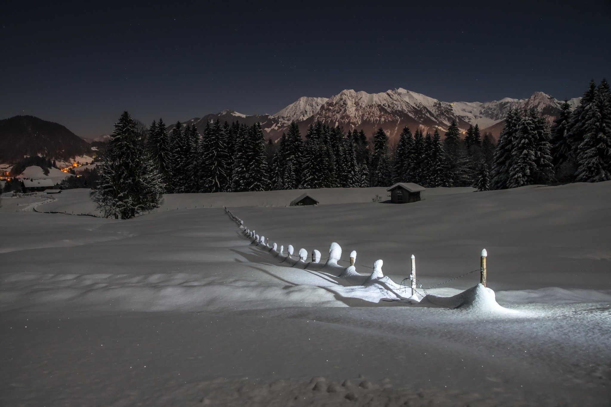 Free photo Winter night with forest and mountains