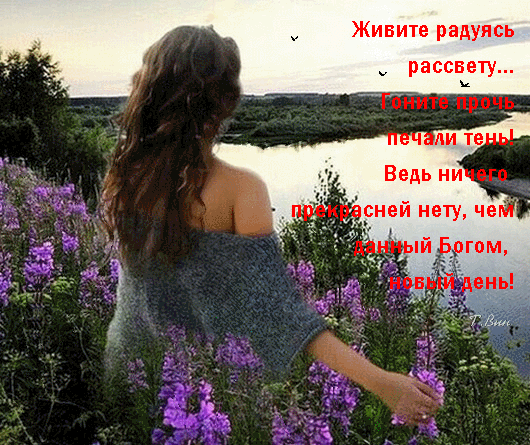 Postcard on the theme morning dawn girl flowers download for free