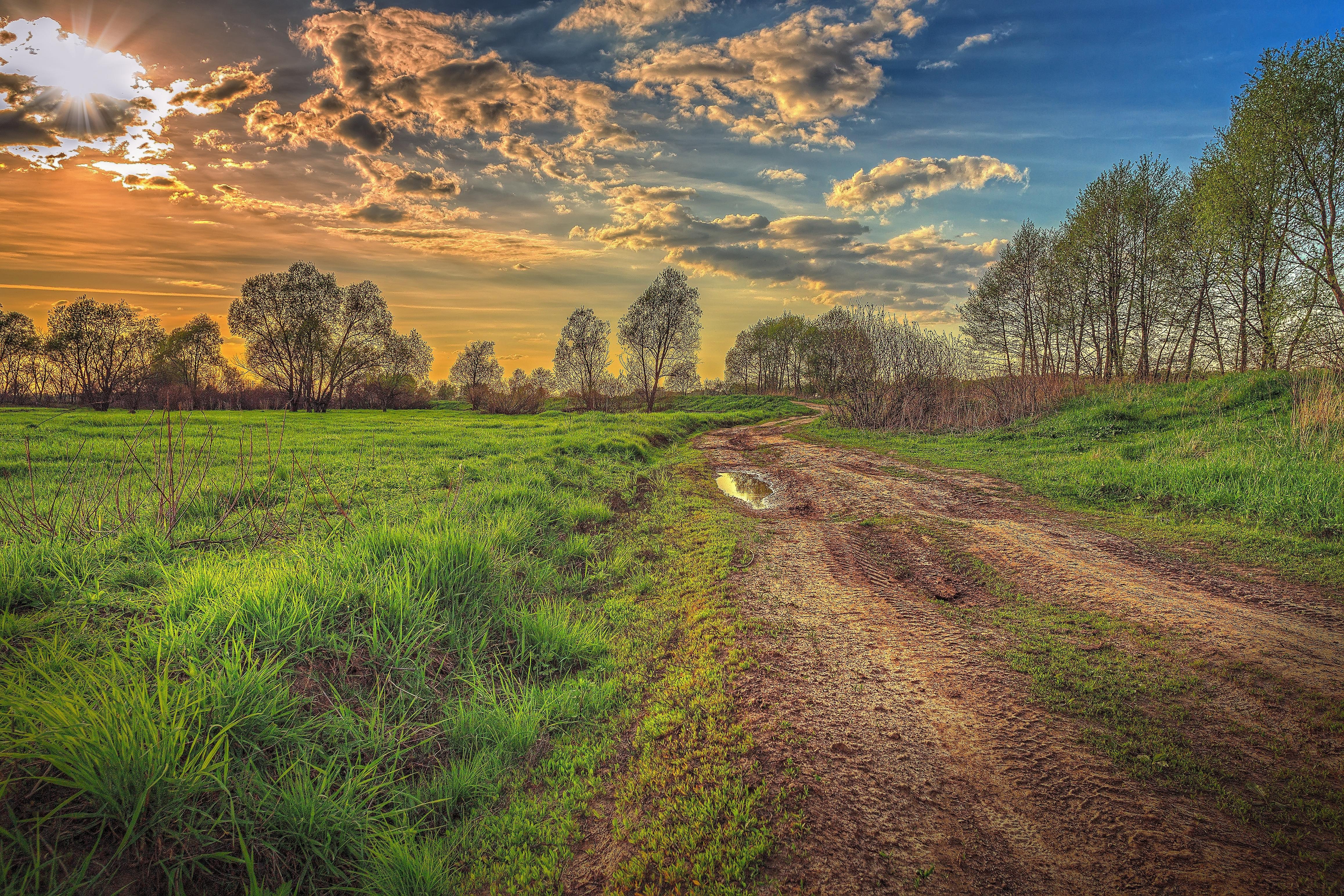 Wallpapers trees village road landscape on the desktop