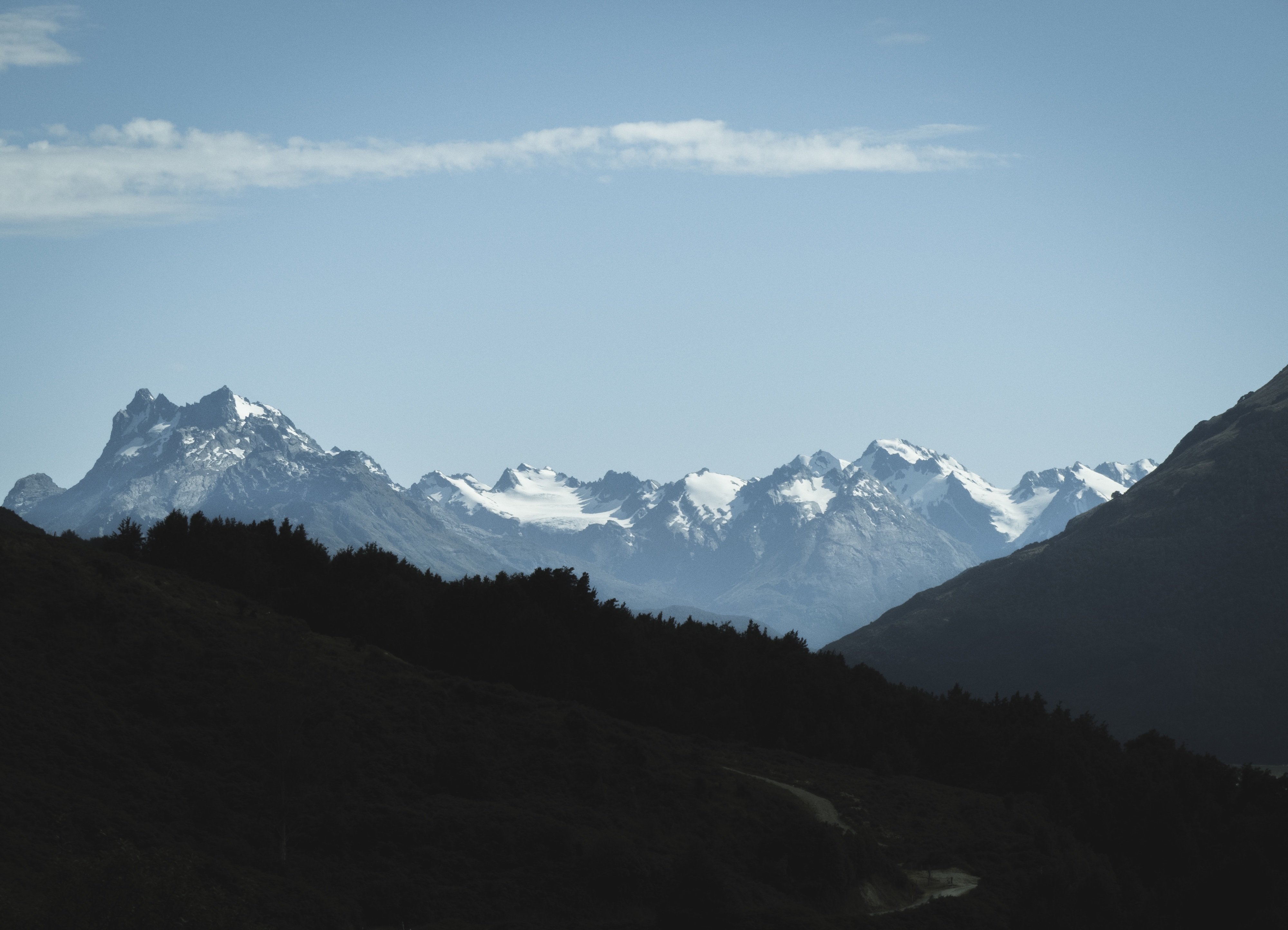 Wallpapers peaks trees snow on the desktop