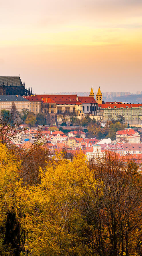 Бөртпелердің суреттері Иттер қыздармен секс видео порнография