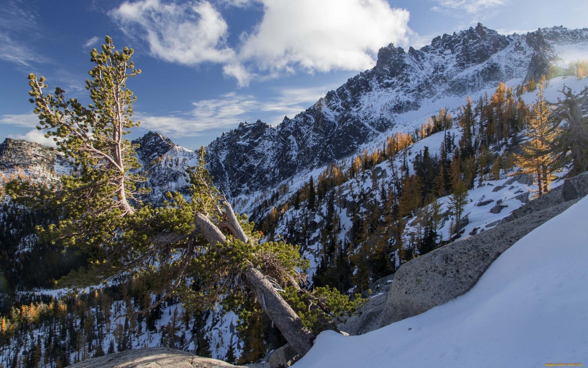 Free photo Snow in the mountains