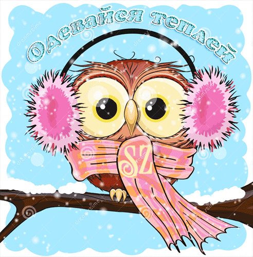 主题为冬季 鸱枭 雪的明信片免费下载