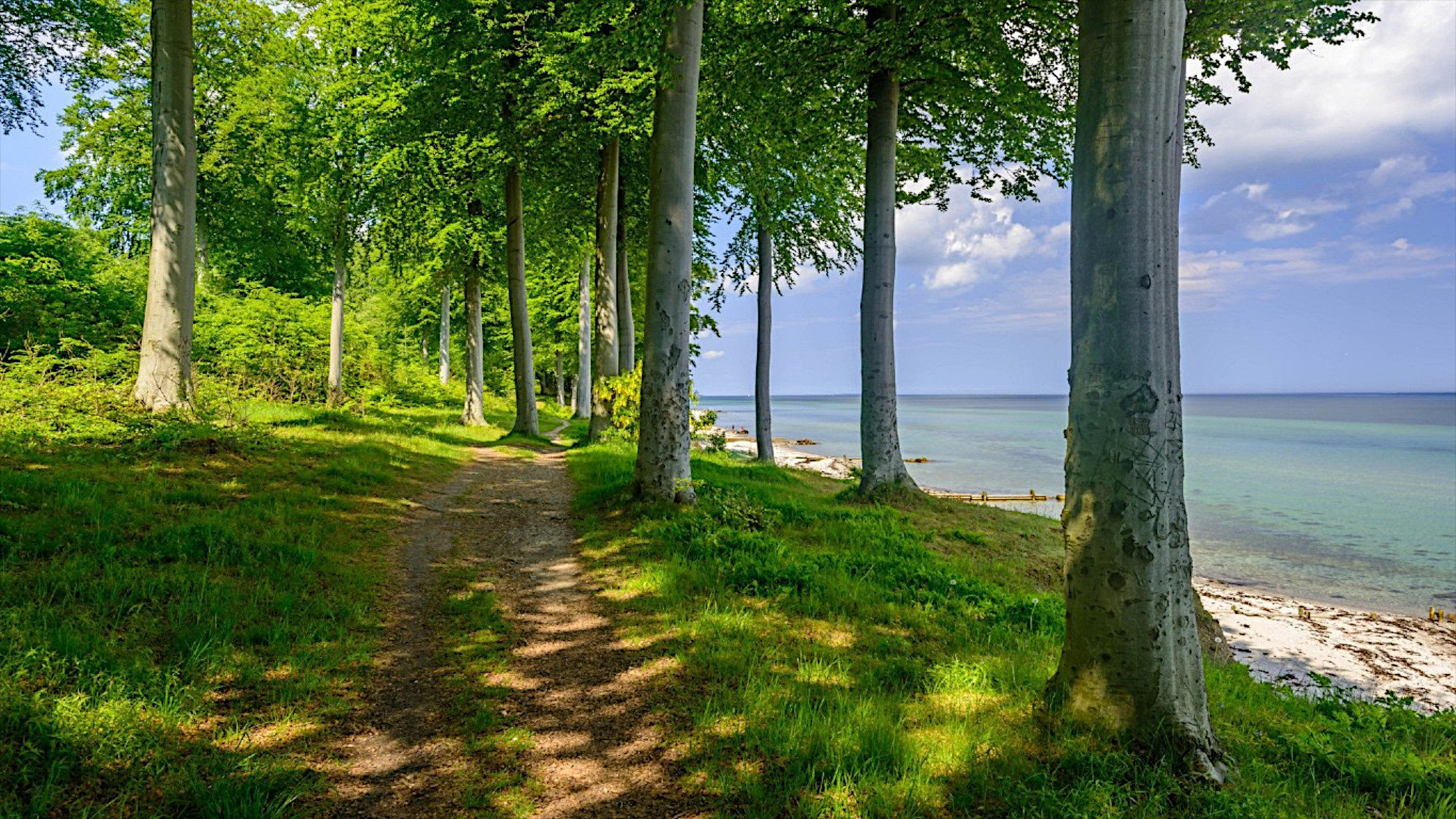 Free photo A path by the sea