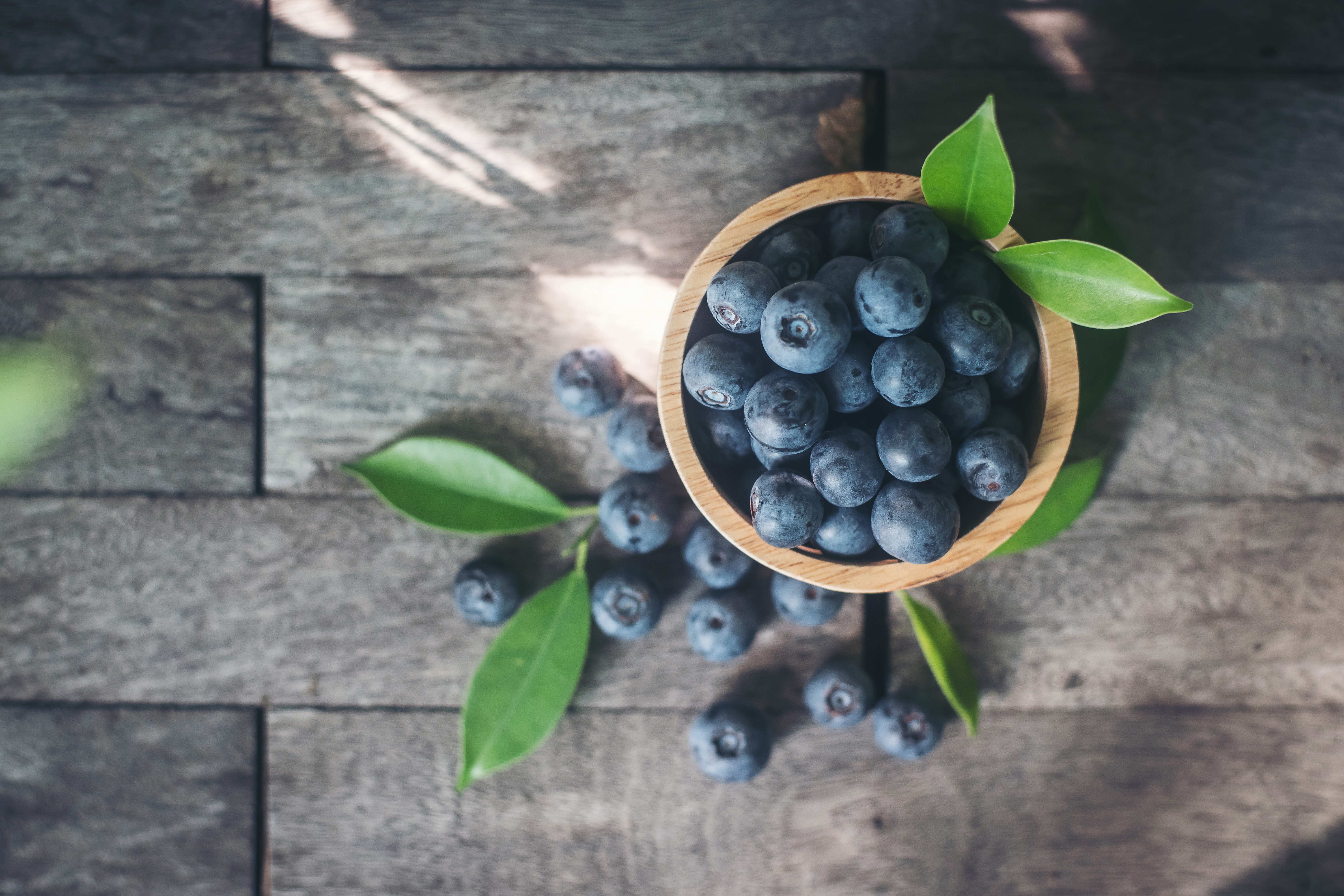 Free photo Wee blueberries on top