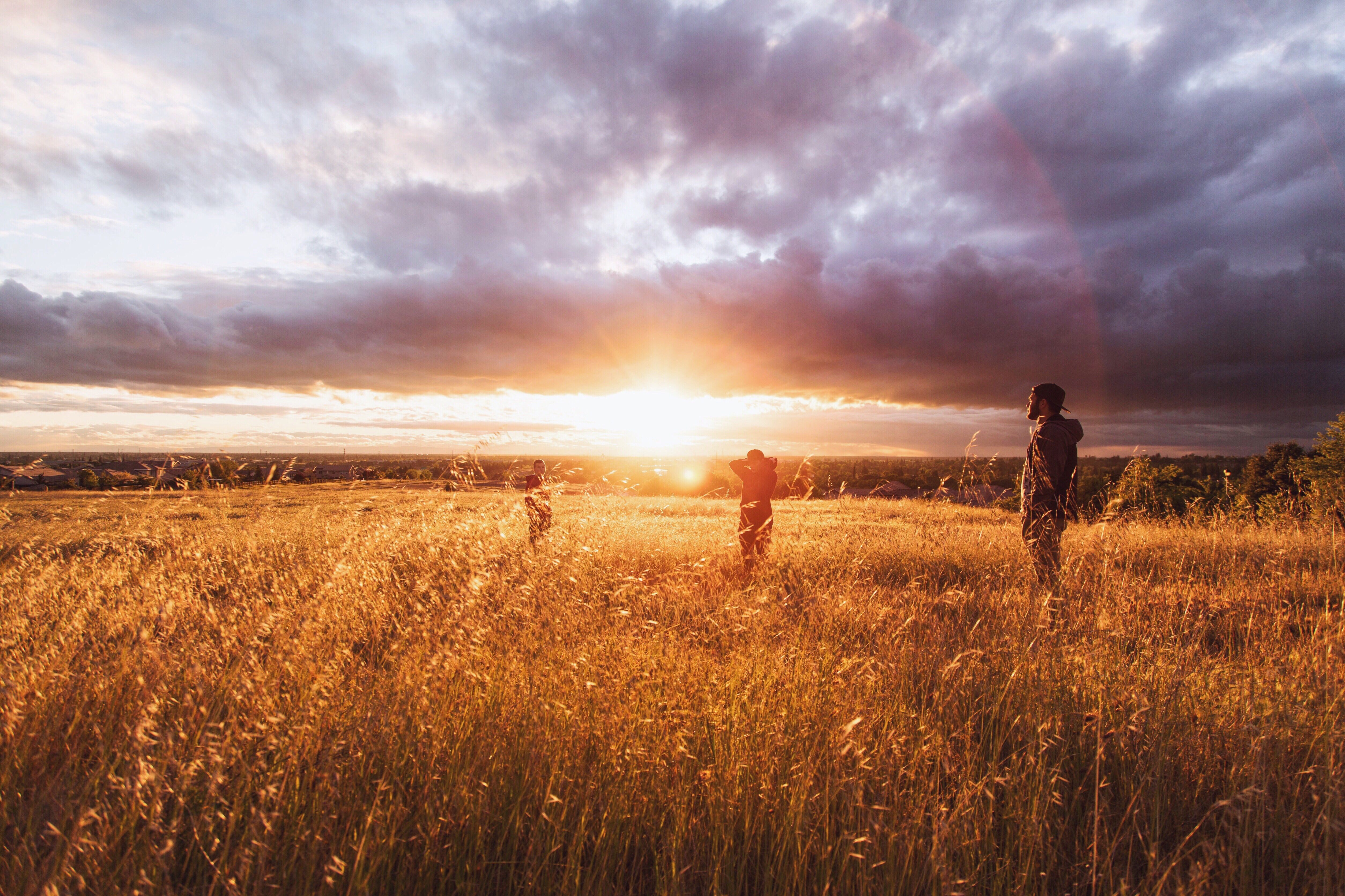 Free photo People in a field of tall grass during sunset