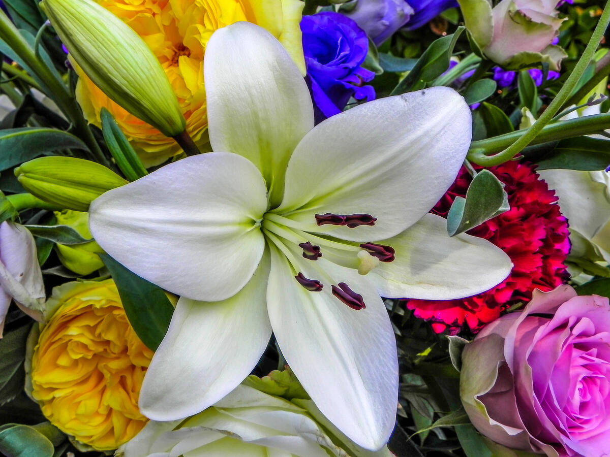 Написанные отзывы на сайте Изба-Читальня - автор Лана Астрикова