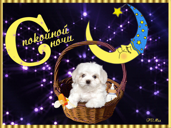 Открытка на тему ночь спокойствие пожелание скачать бесплатно