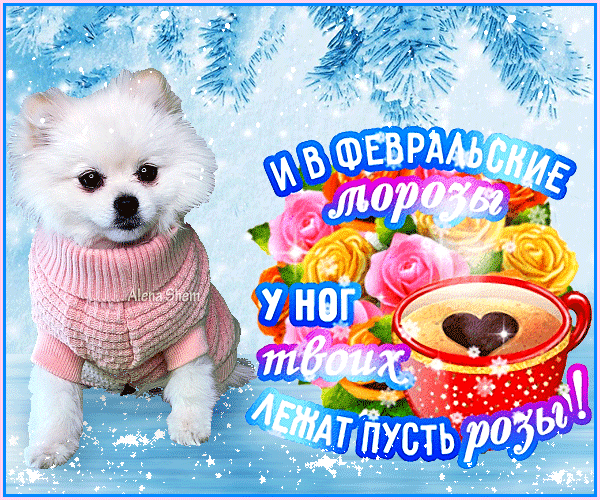 Открытка на тему авторская анимация алена шем февраль скачать бесплатно
