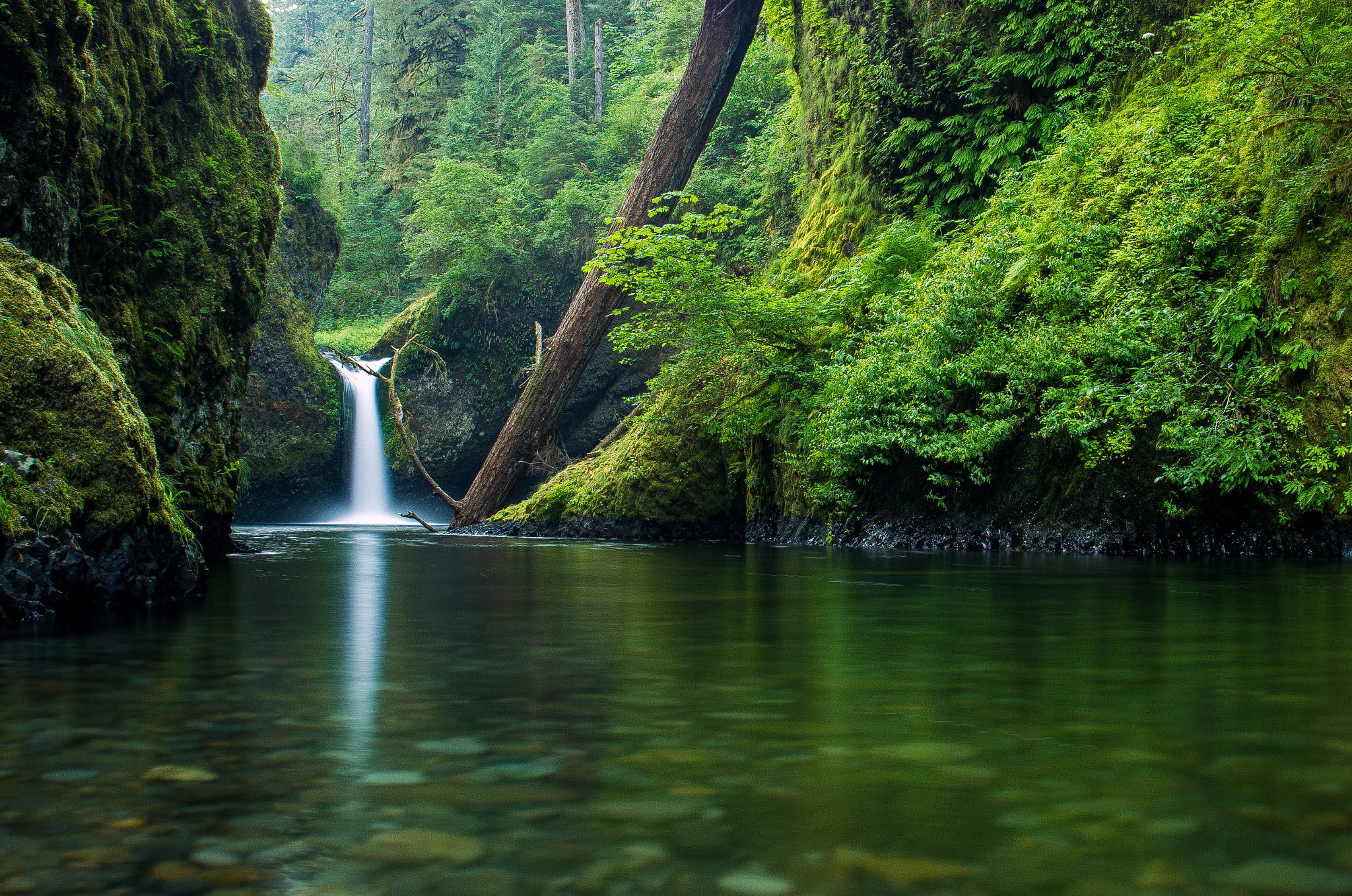 Обои Punch Bowl Falls Columbia River Gorge водопад на рабочий стол