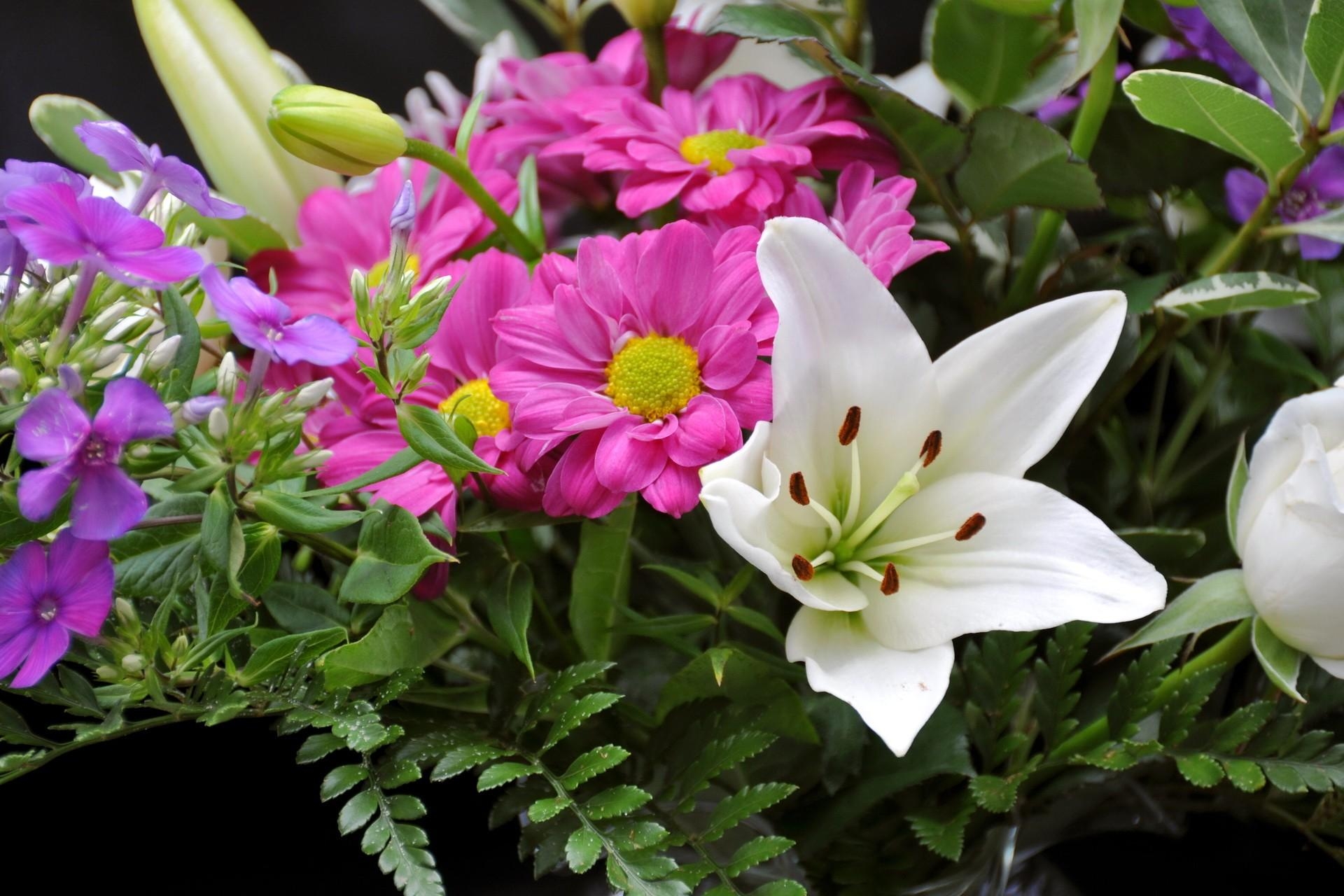 白百合和粉红色的花朵