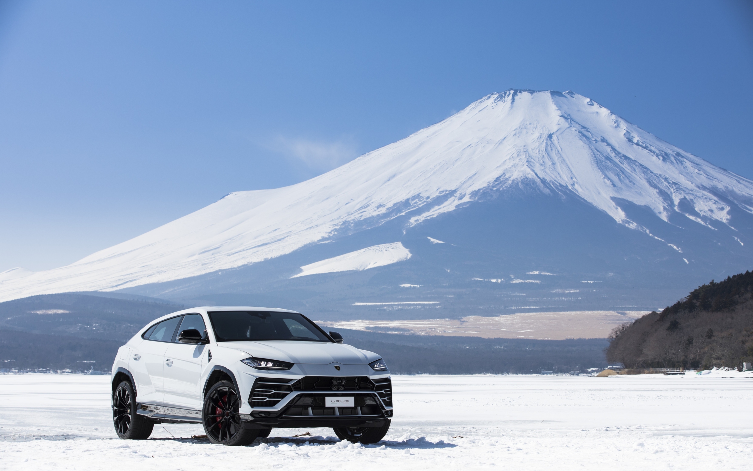 Обои lamborghini urus автомобили 2019 автомобили на рабочий стол