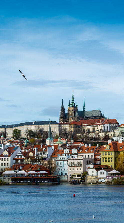 Мас күйінде ұйықтап жатқан порно жеке фотосурет Қара жігіт оның пәктігін тартып алады