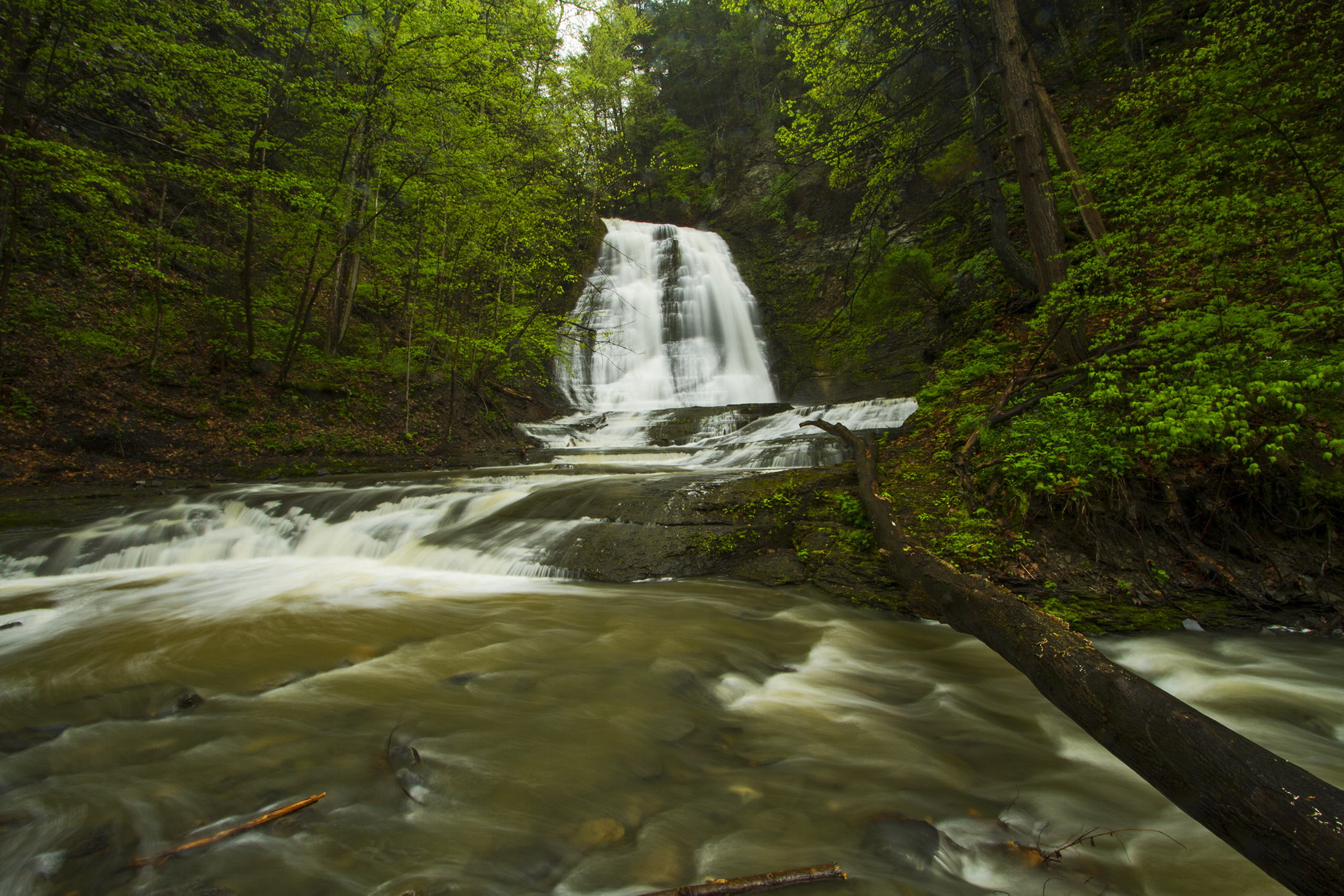 Free photo View of the falls