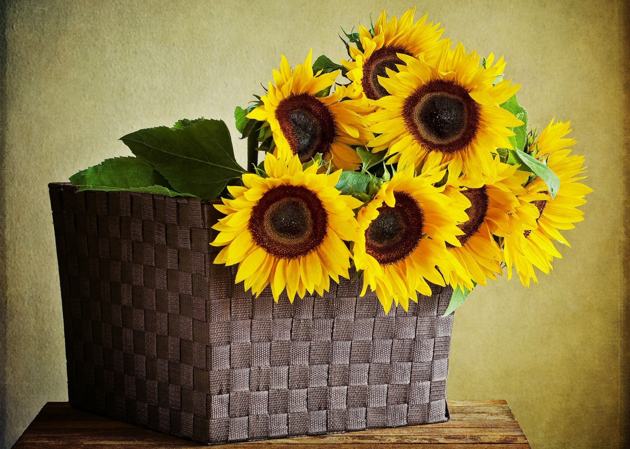 Sunflowers in a wicker basket