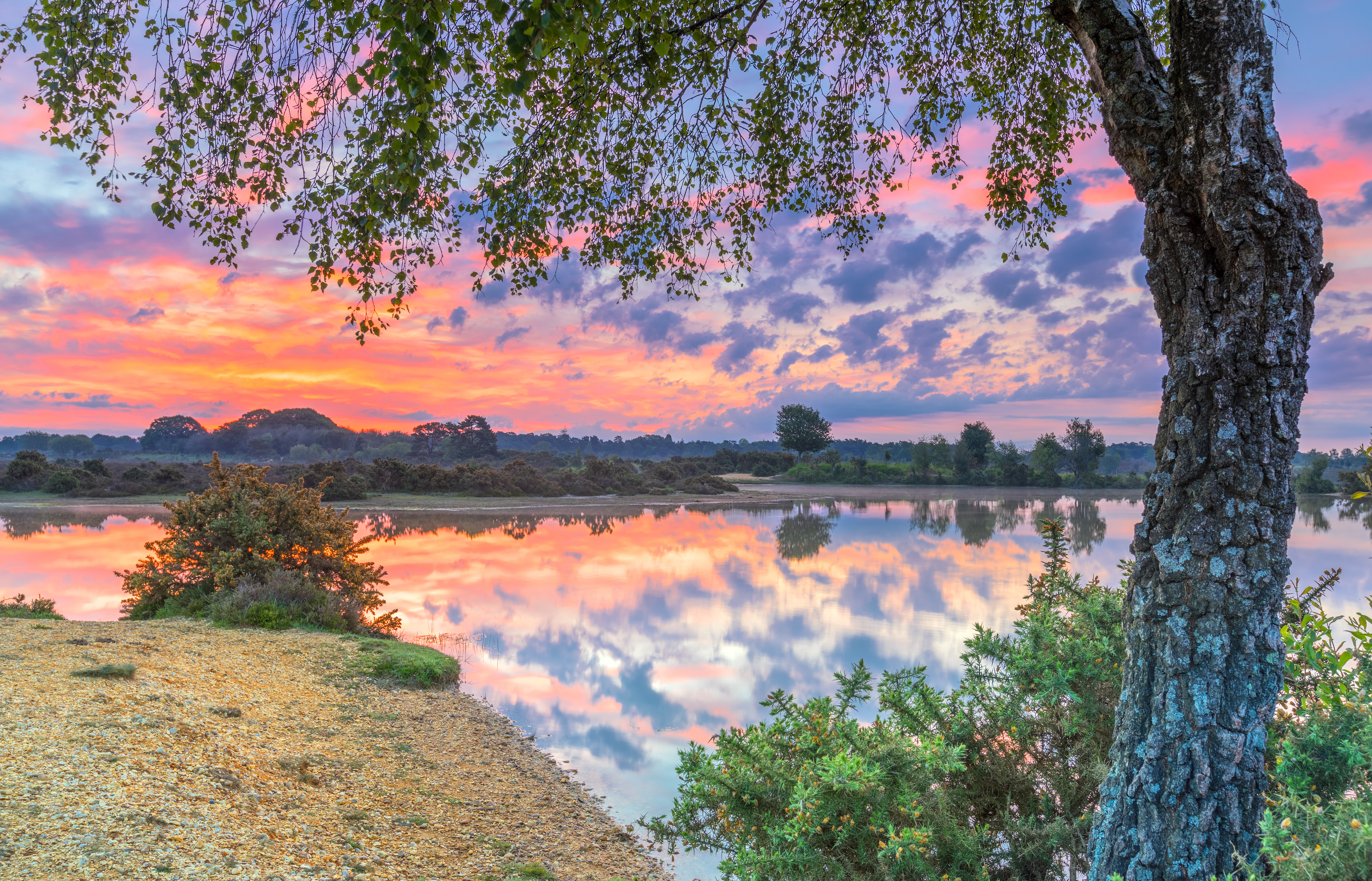 Free photo Reflection evening sky