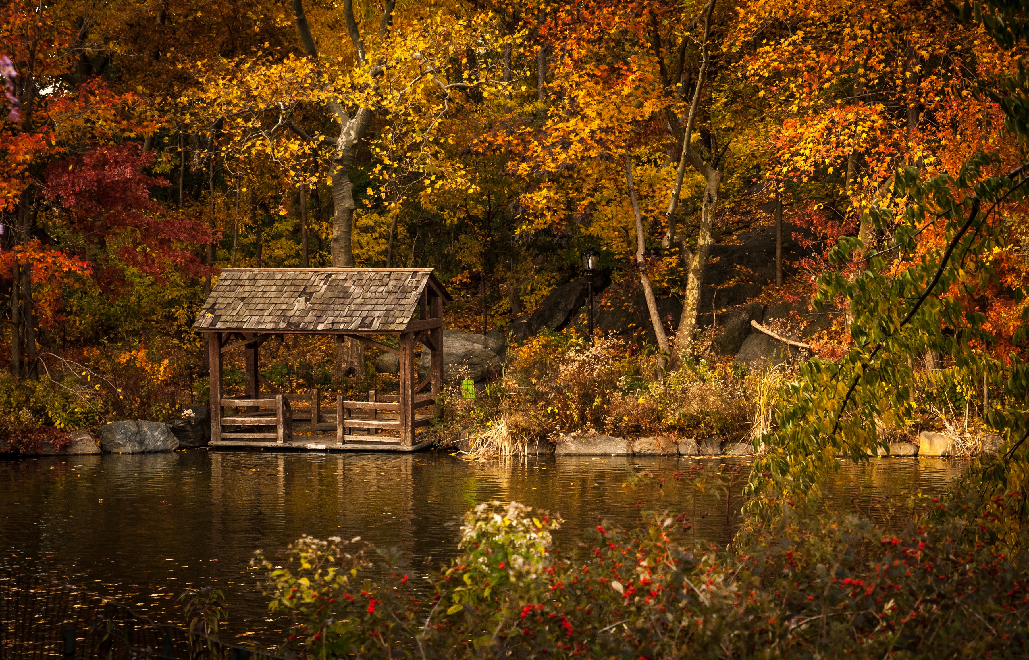 Free photo Gazebo on the lake shore