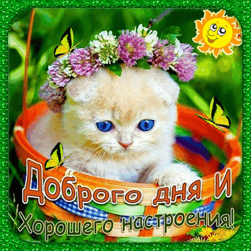Free postcard Afternoon with the ginger kitten