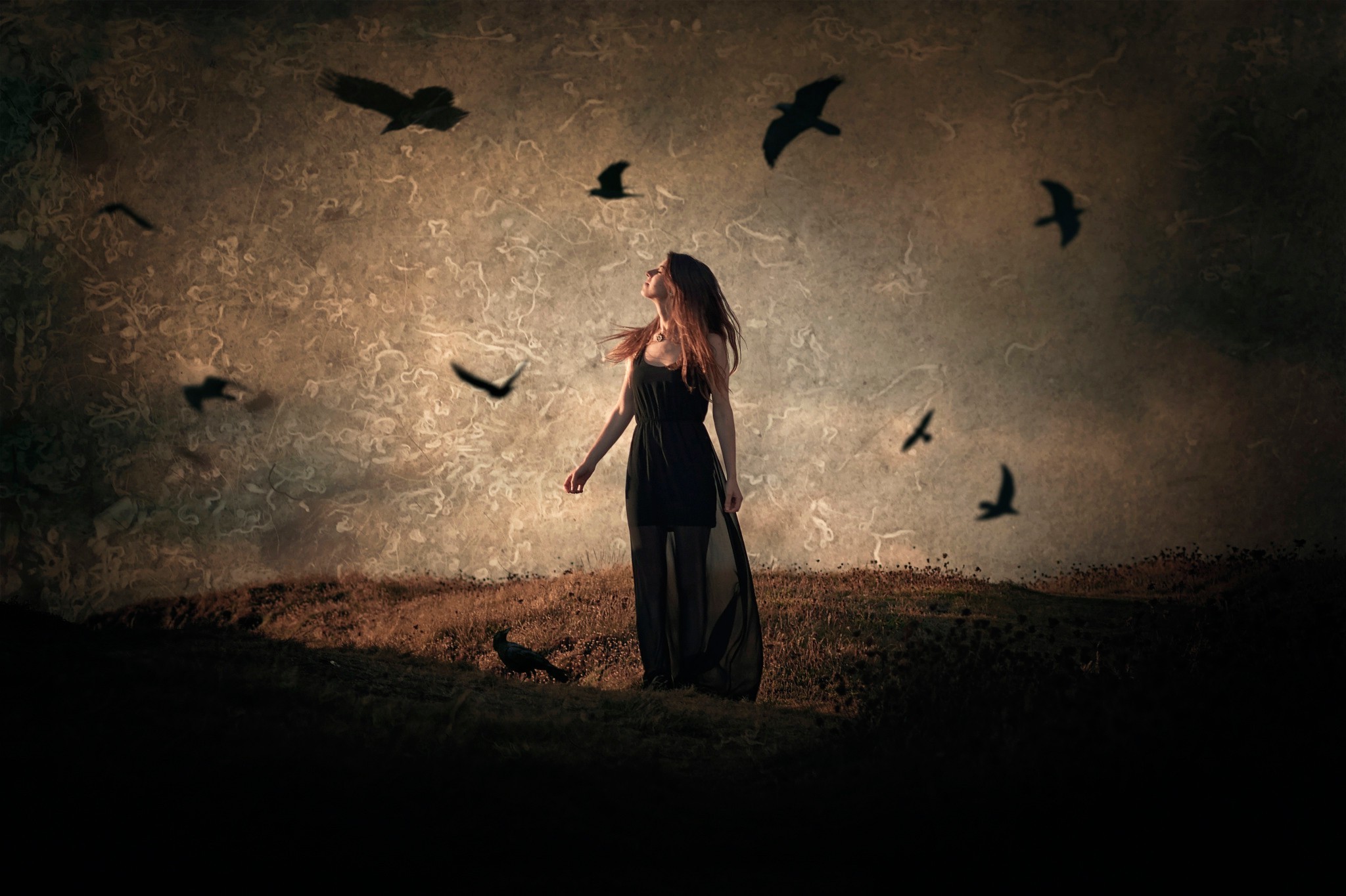 Ravens circling over a girl in a black dress.