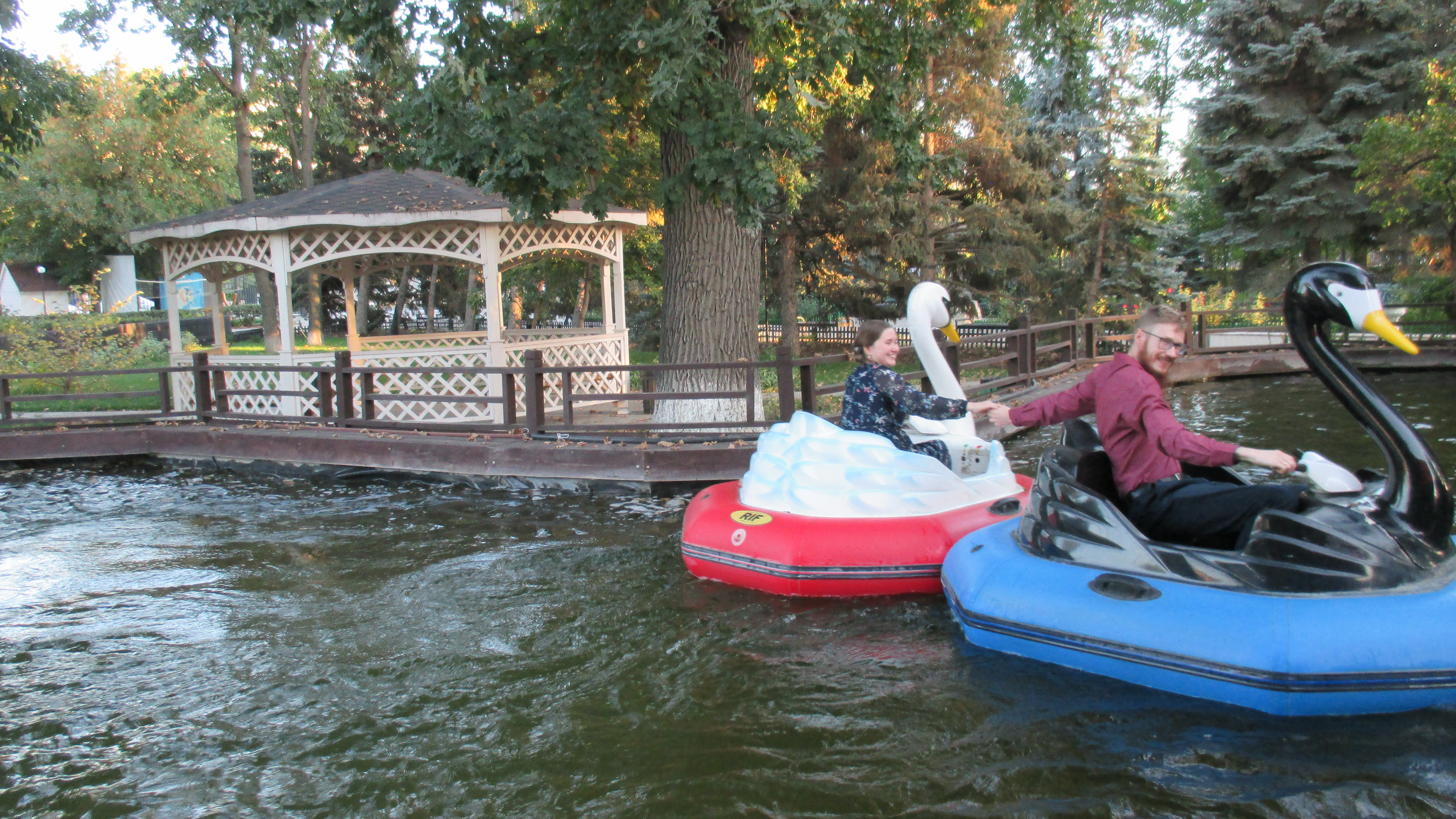 Бесплатное фото Лебеди - лодочки